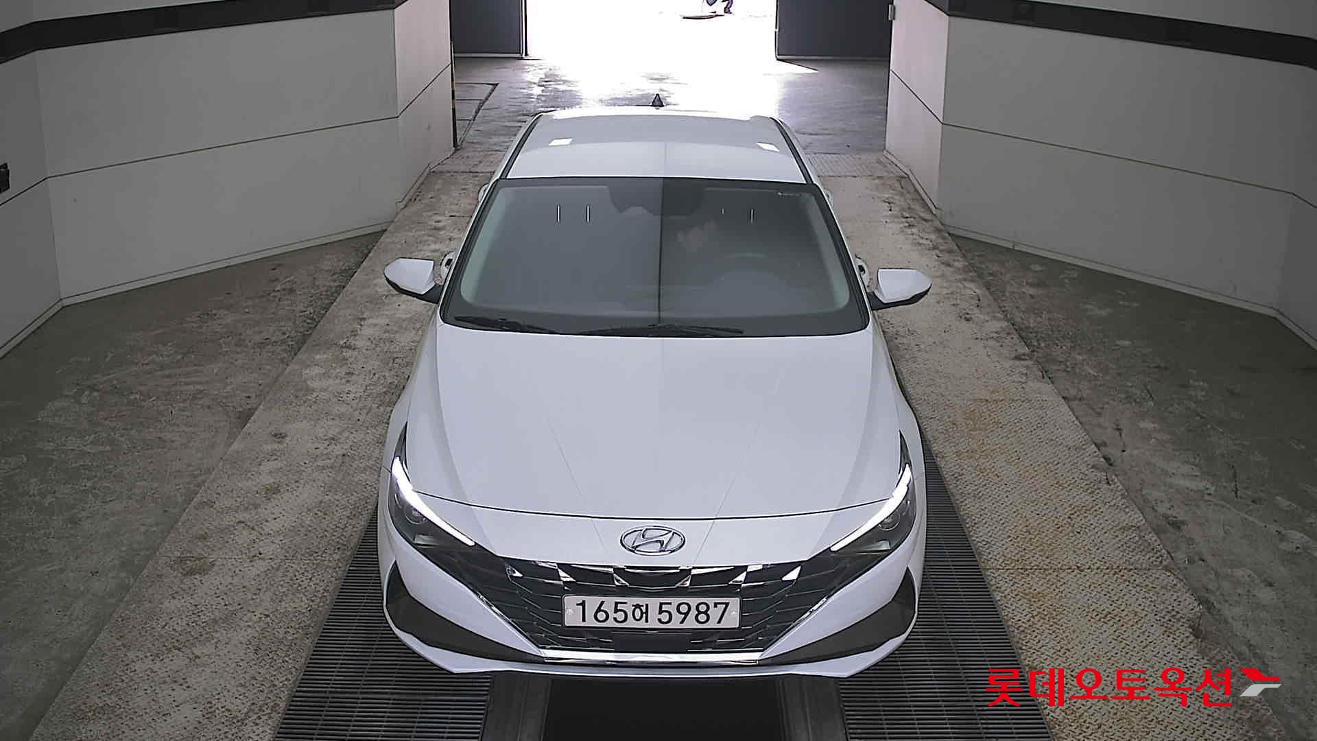 현대자동차 아반떼