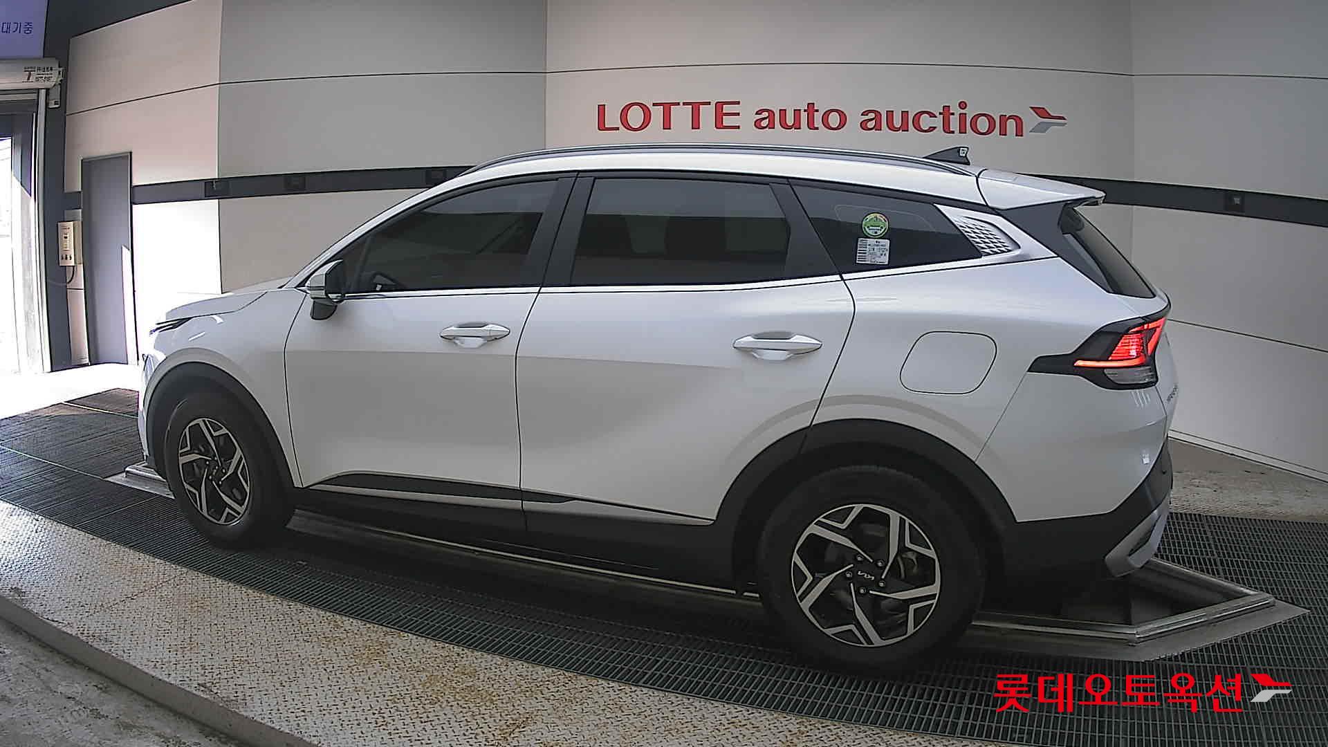2023 - kia sportage