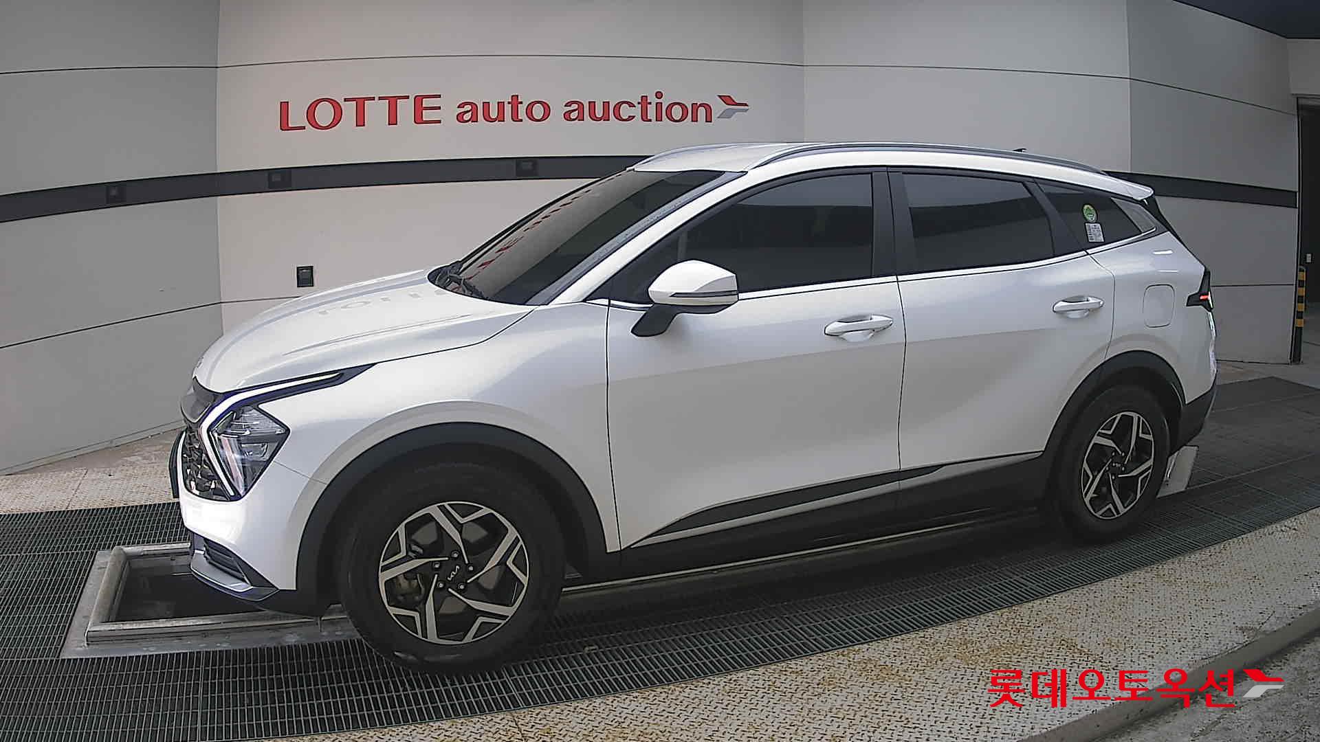 2023 - kia sportage
