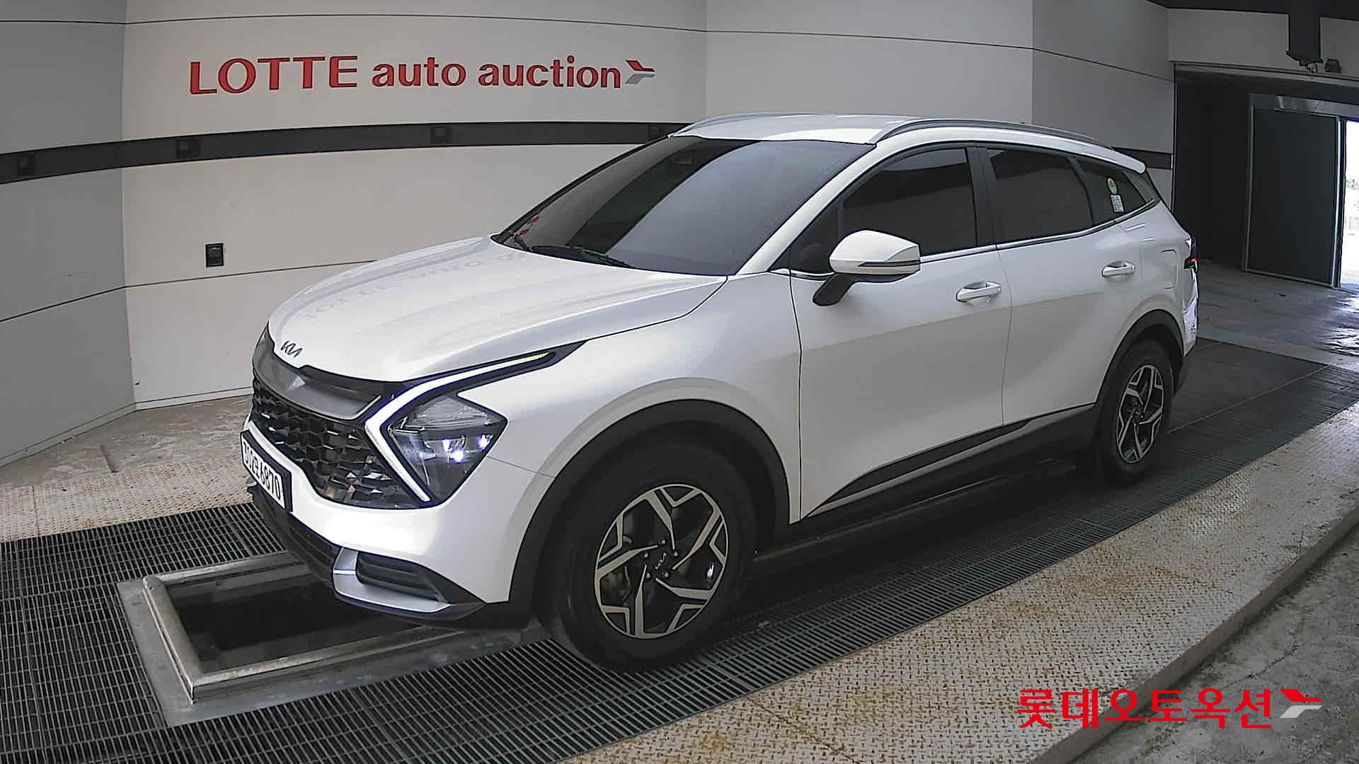 2023 - kia sportage