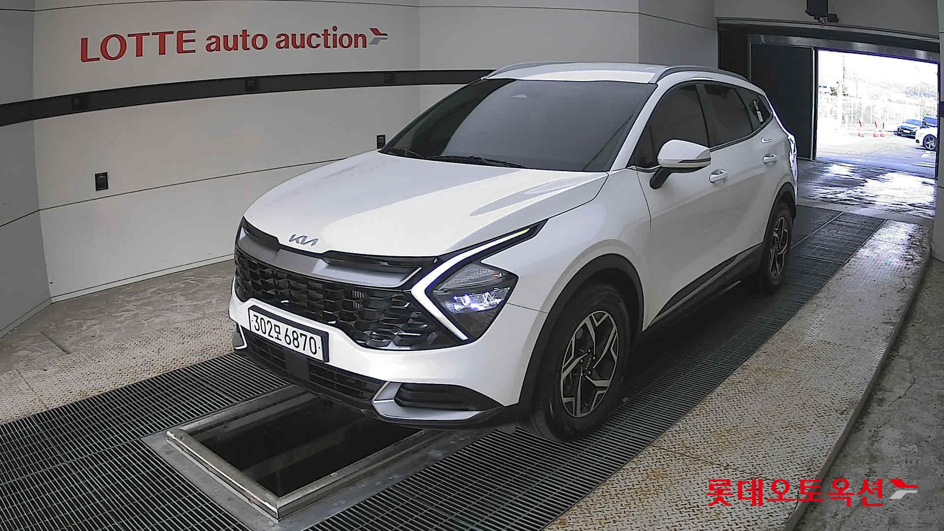 2023 - kia sportage