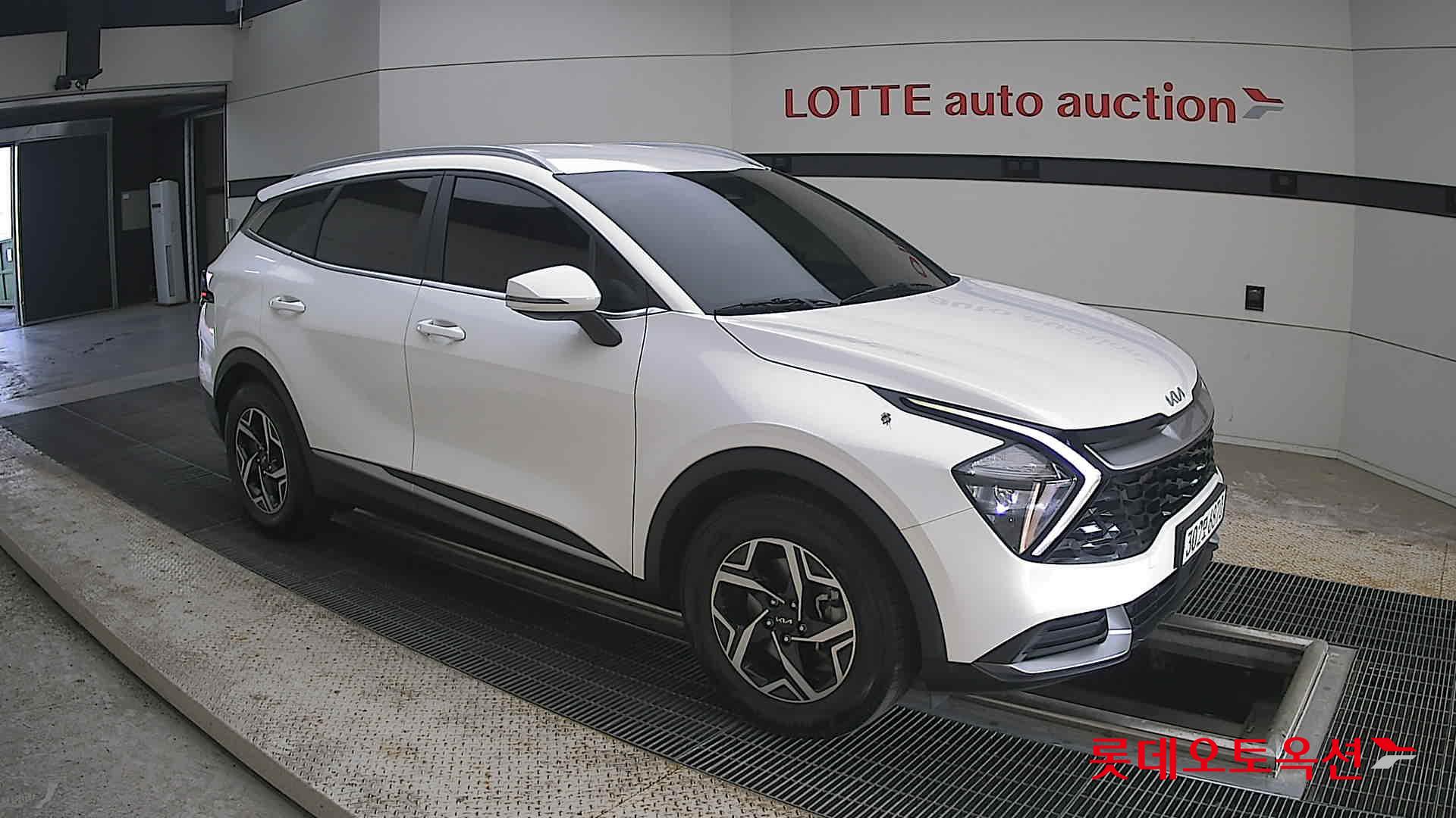 2023 - kia sportage