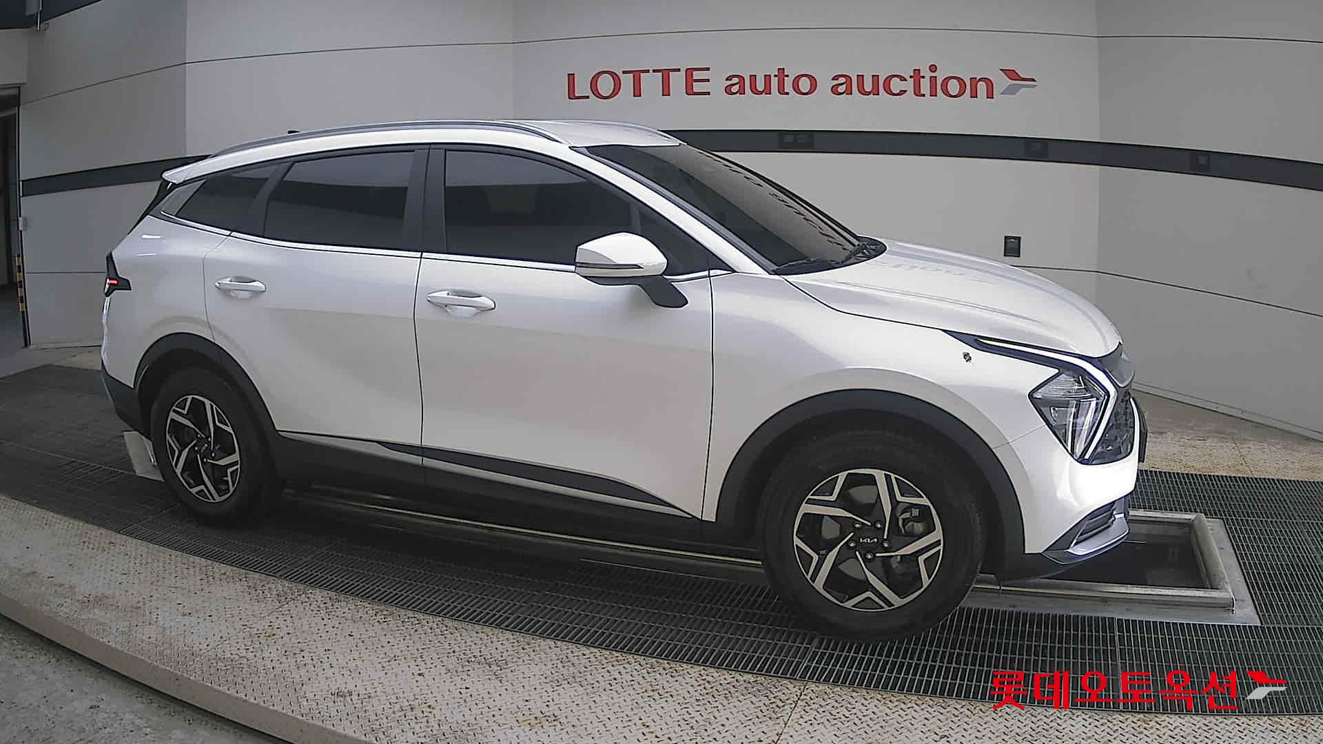 2023 - kia sportage
