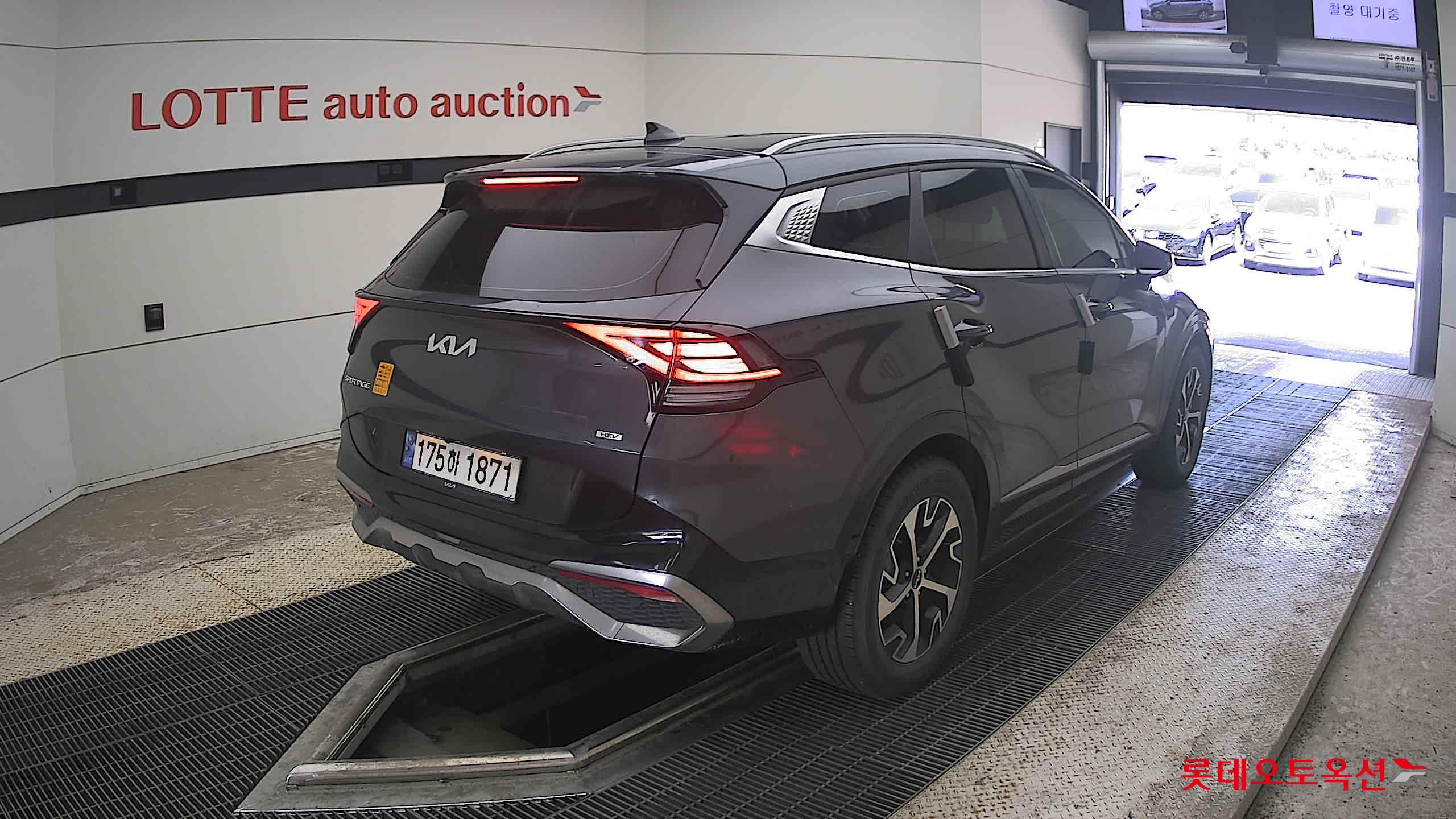 2023 - kia sportage