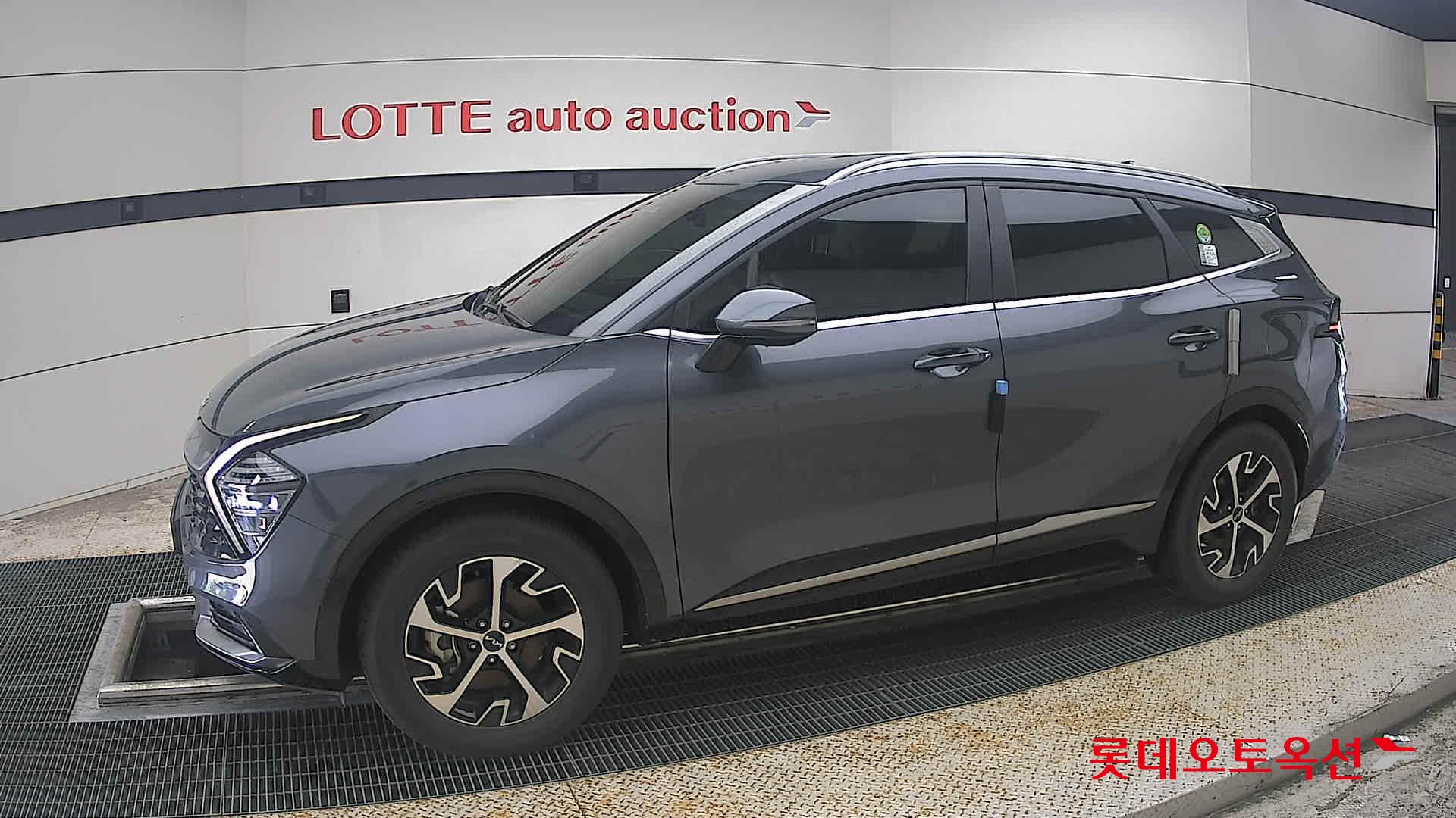 2023 - kia sportage