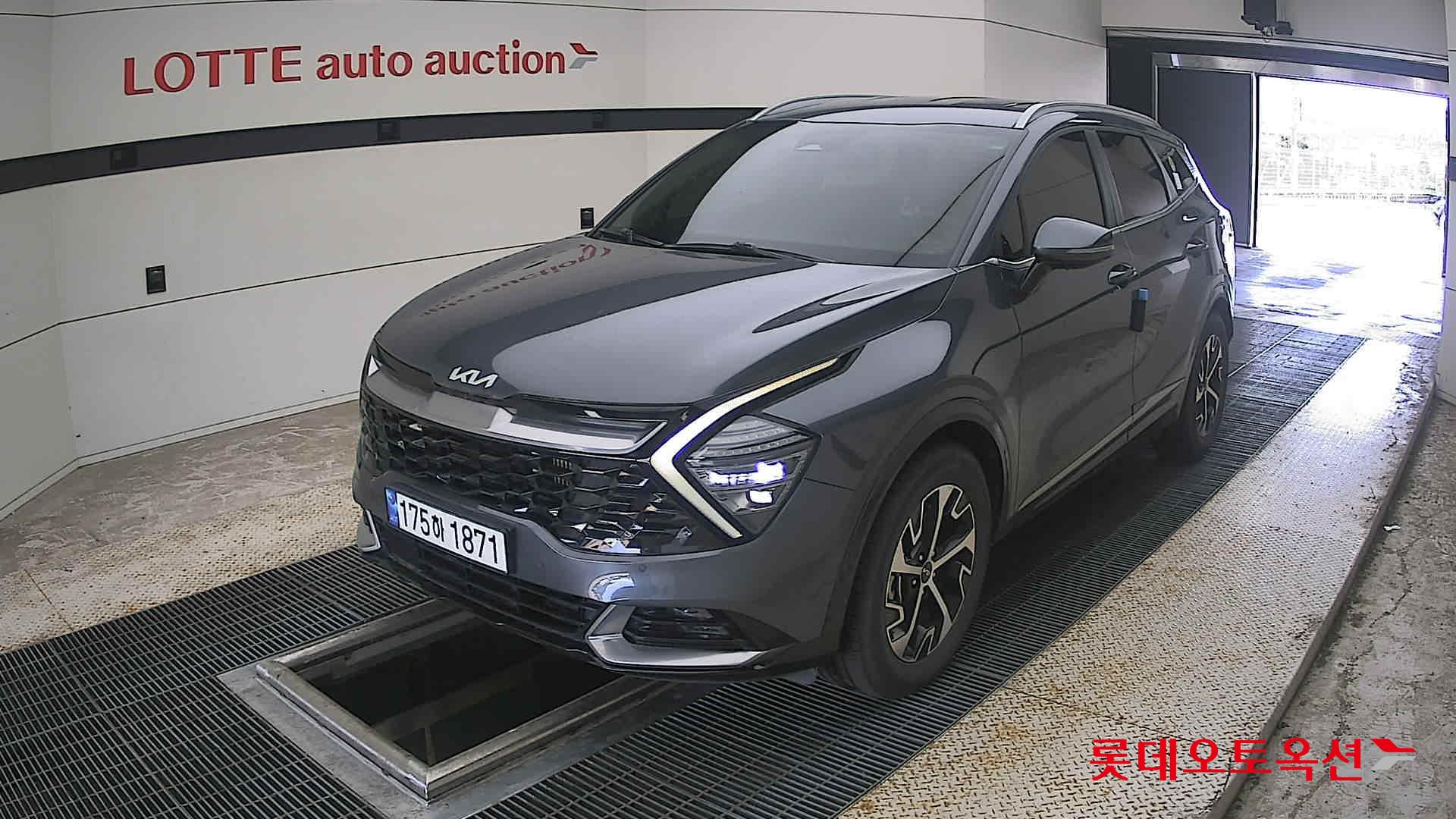 2023 - kia sportage