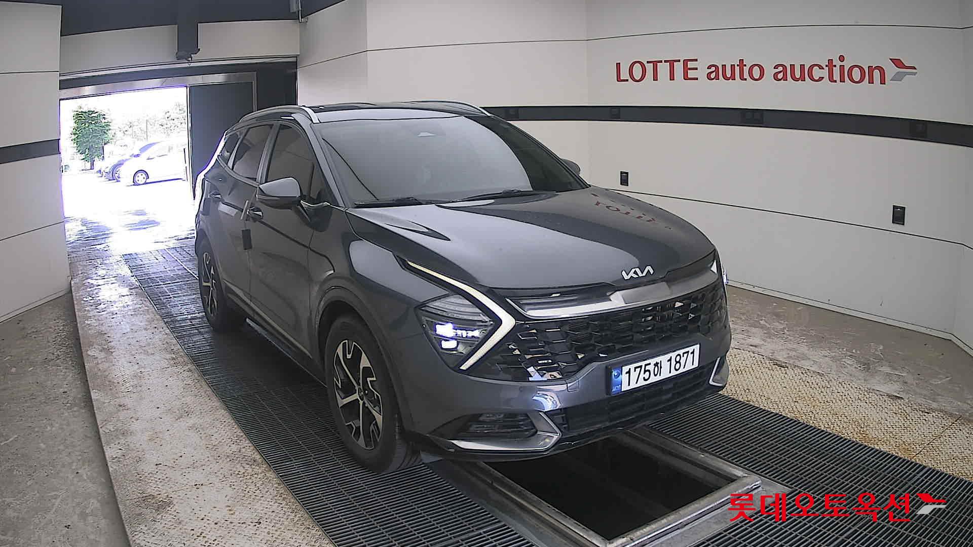 2023 - kia sportage