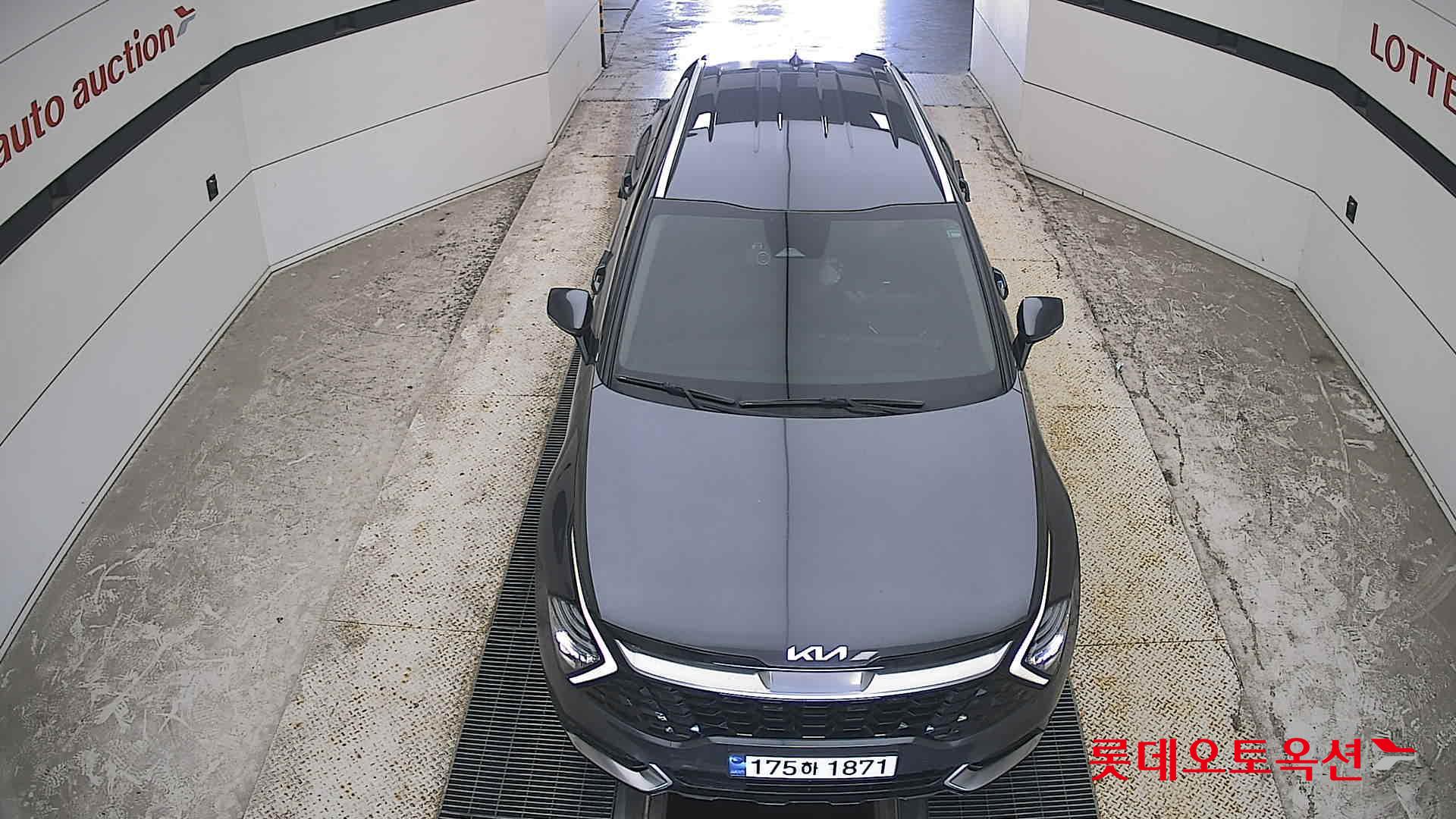 2023 - kia sportage