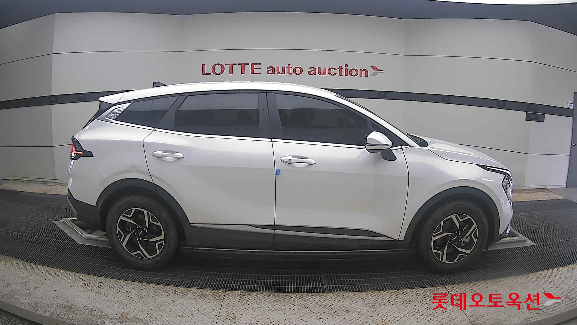 2024 - kia sportage