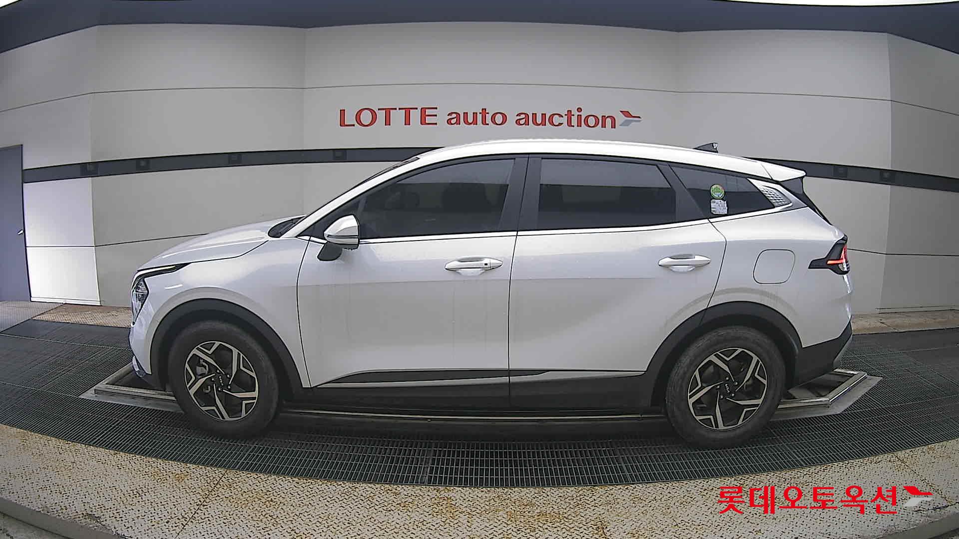 2024 - kia sportage