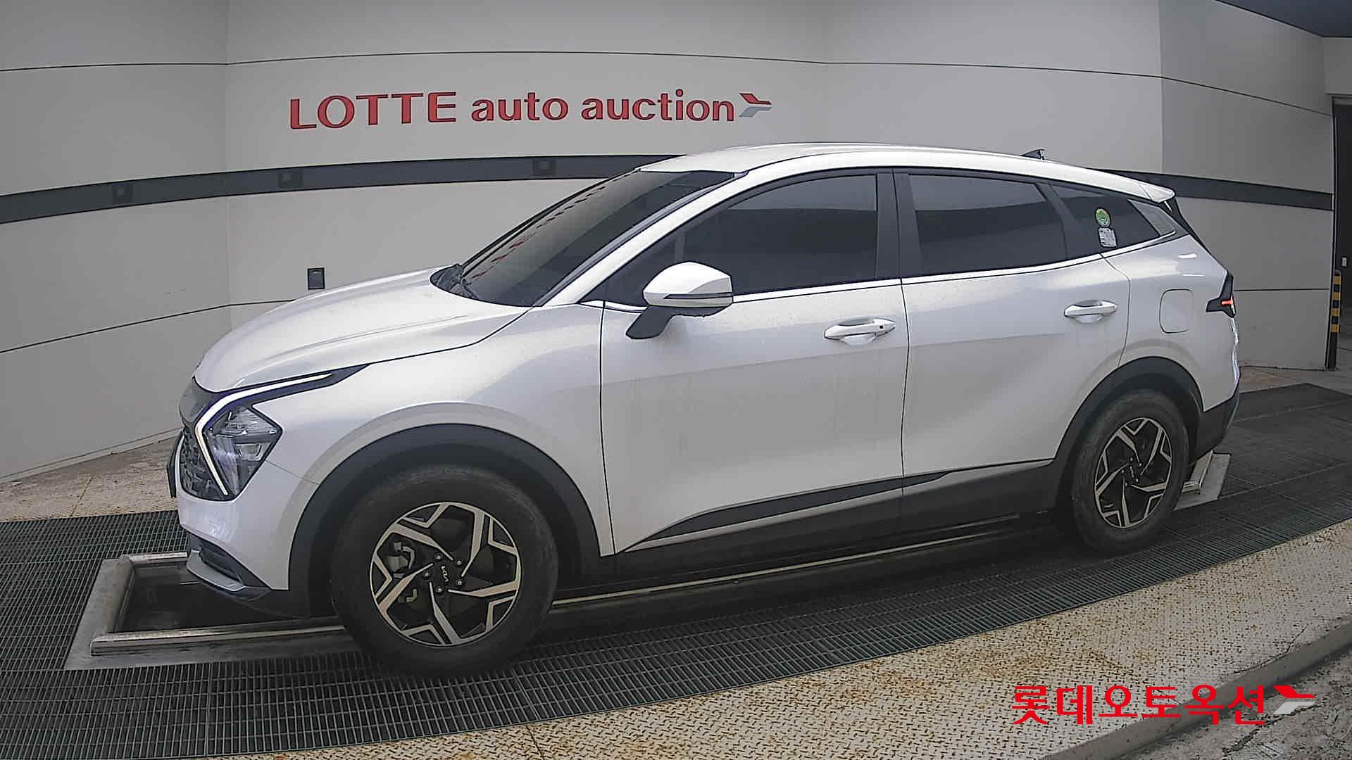 2024 - kia sportage