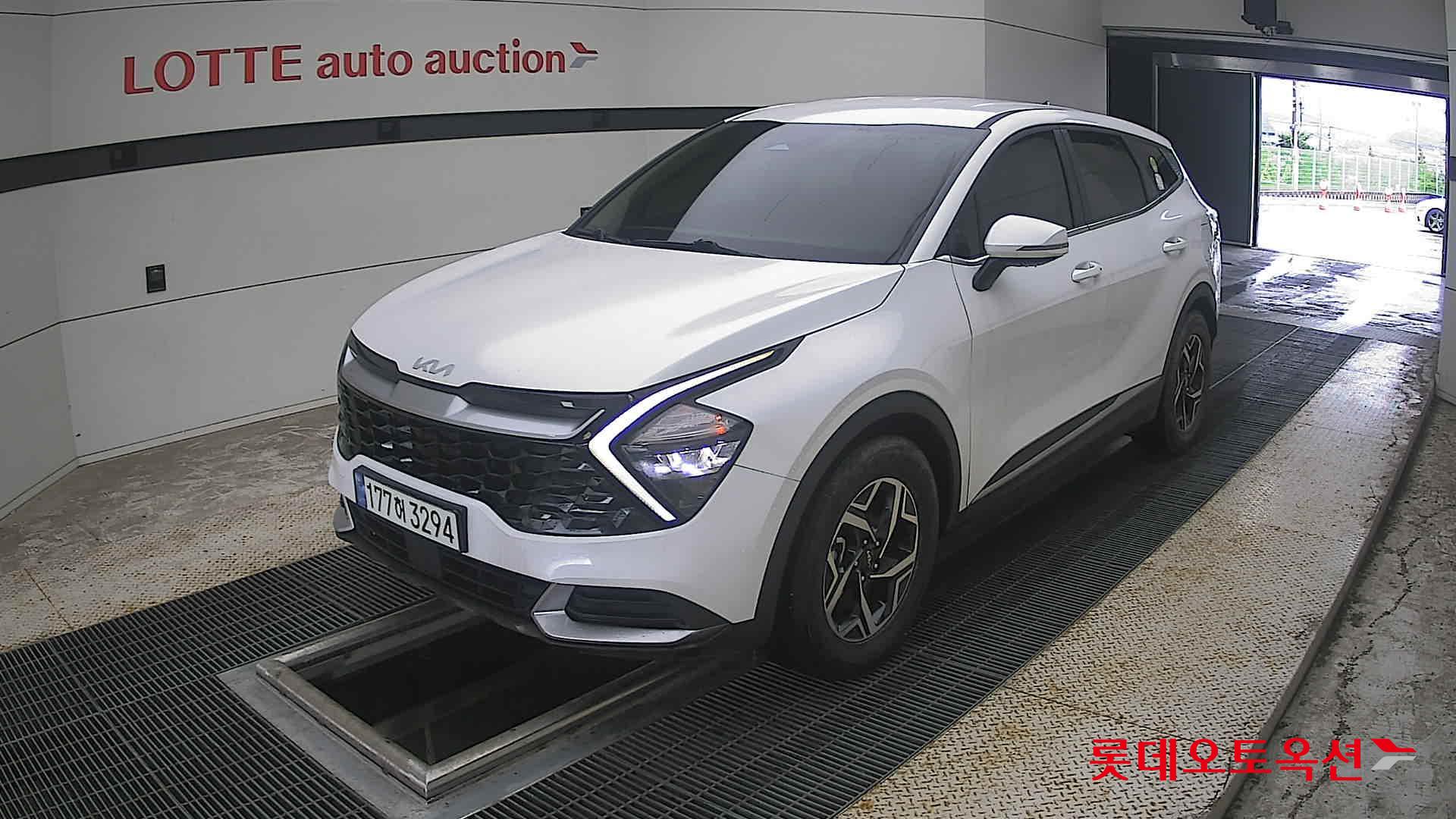 2024 - kia sportage