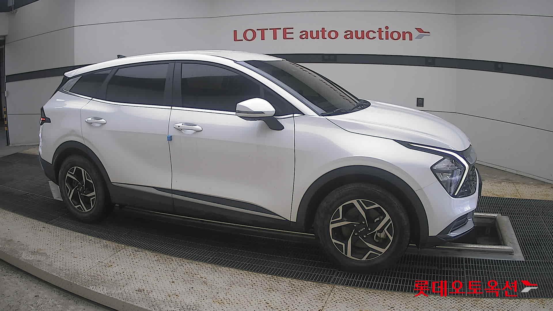 2024 - kia sportage