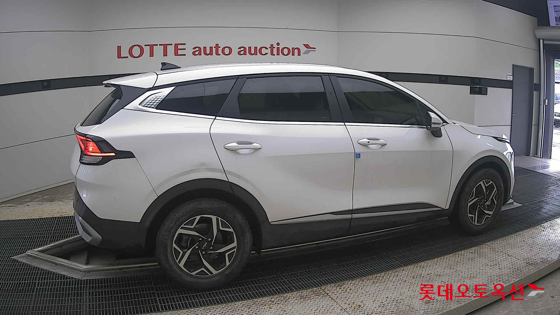 2024 - kia sportage