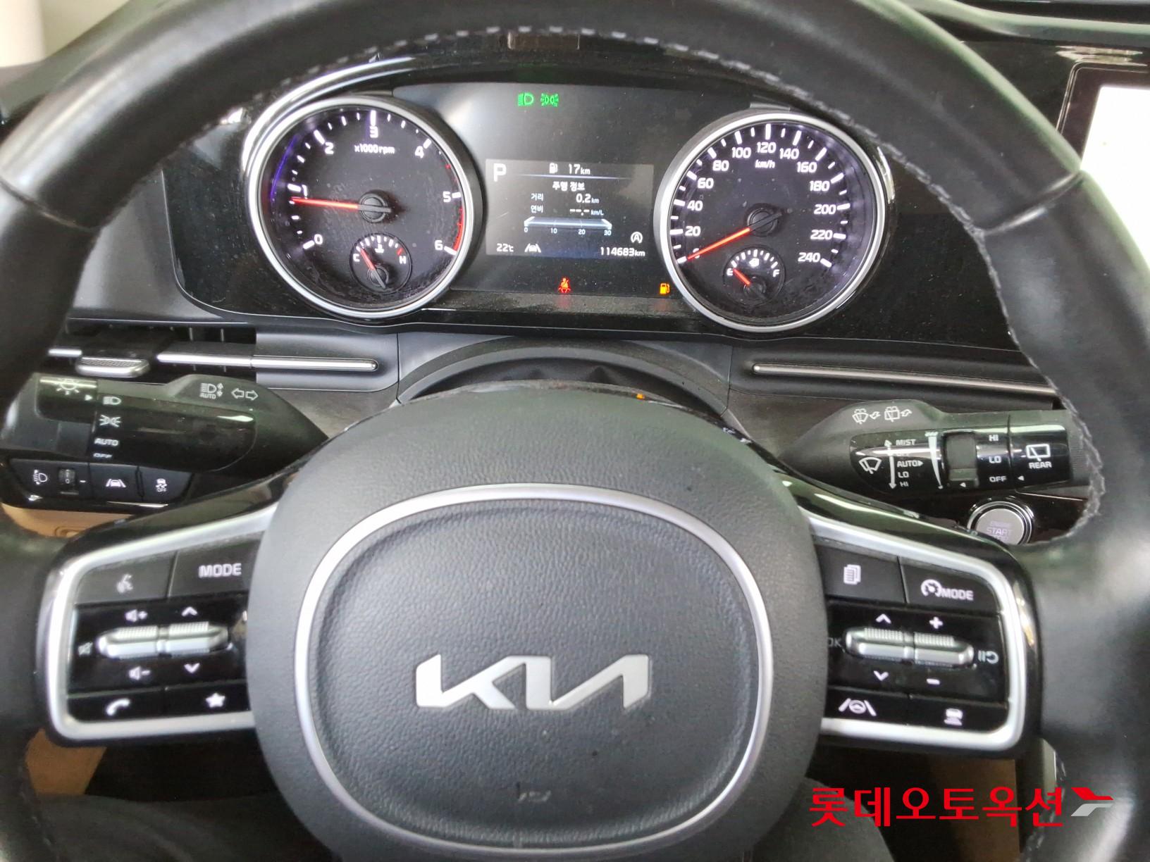 Kia Carnival - 30