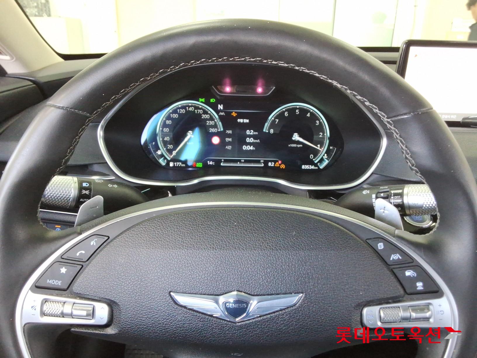제네시스 G80 - 30