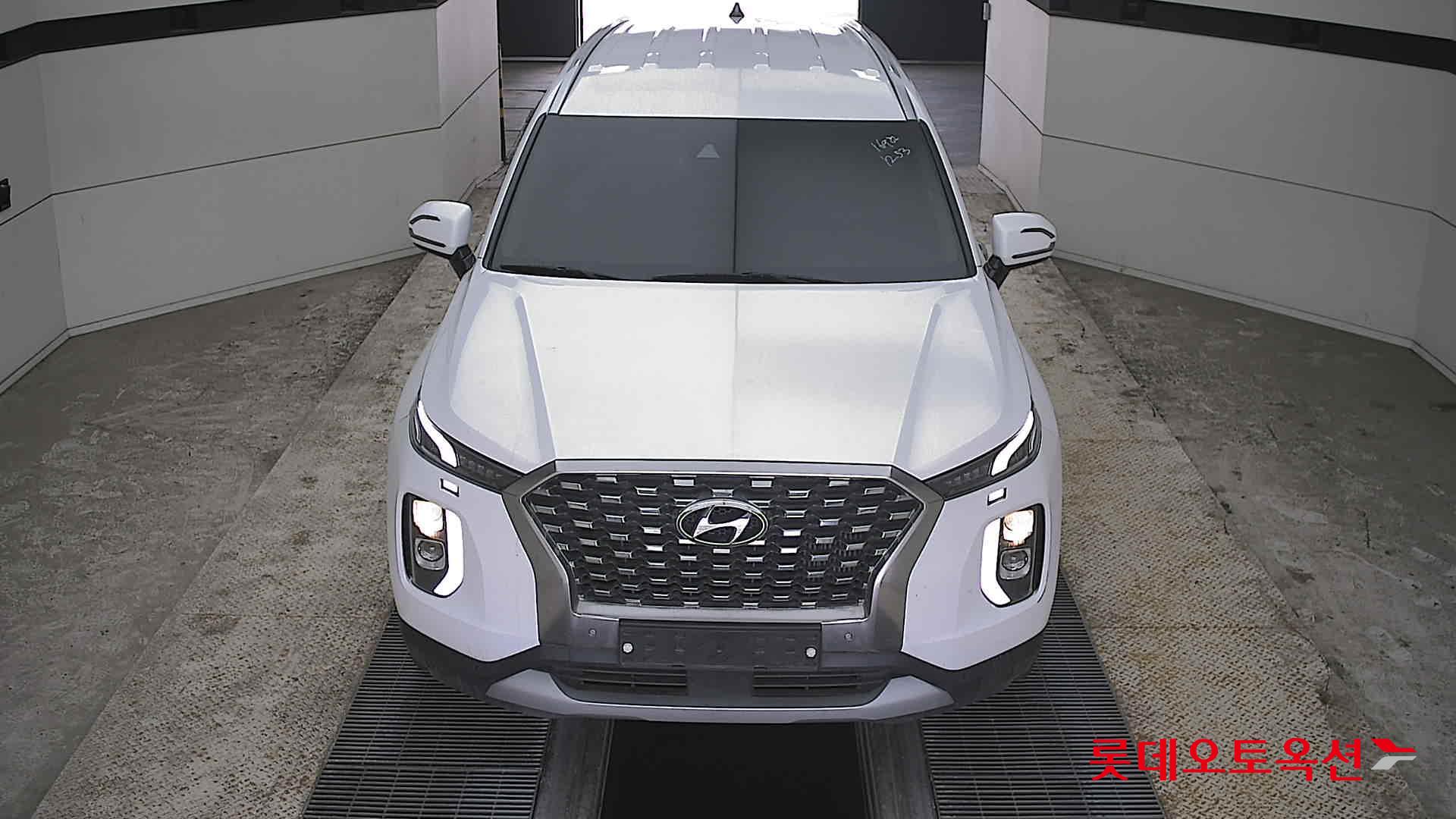 Hyundai Palisade - 1