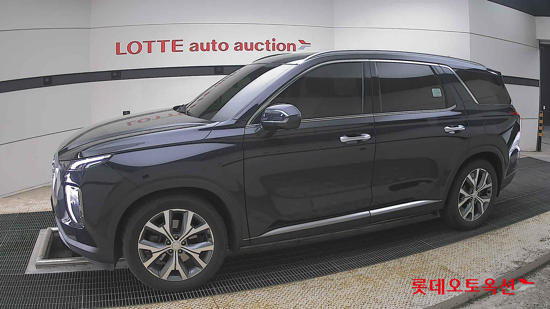 Hyundai Palisade - 12