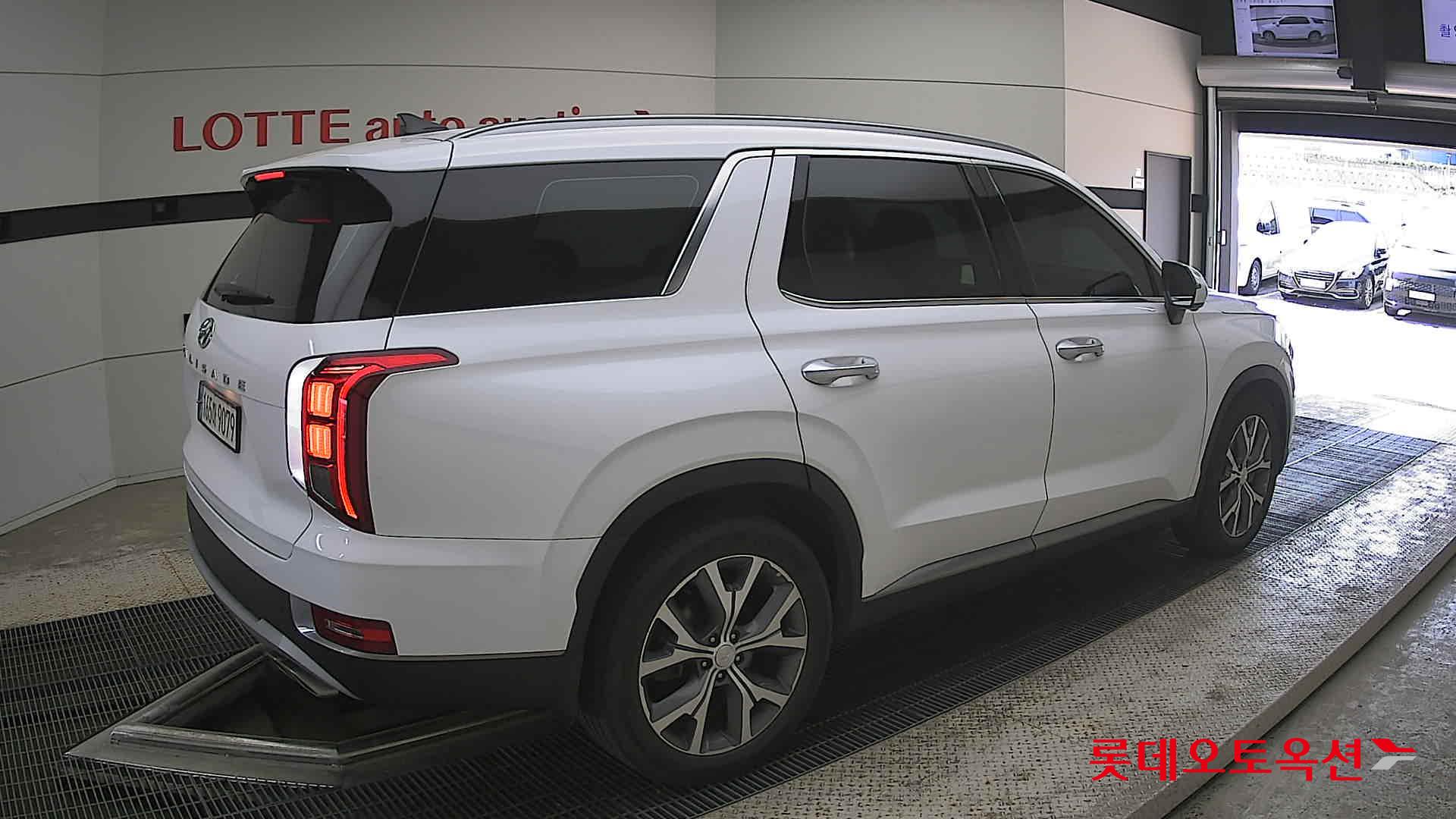Hyundai Palisade - 19