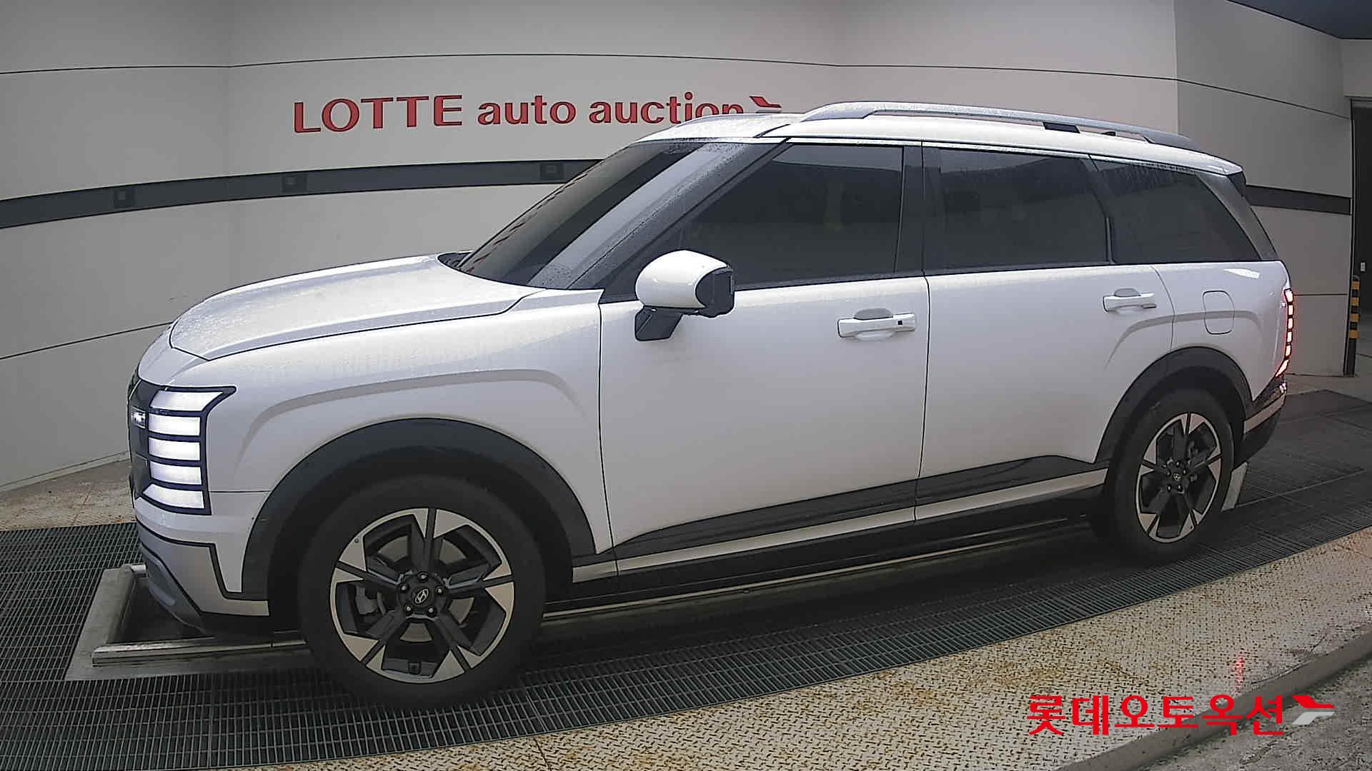 2025 - hyundai palisade
