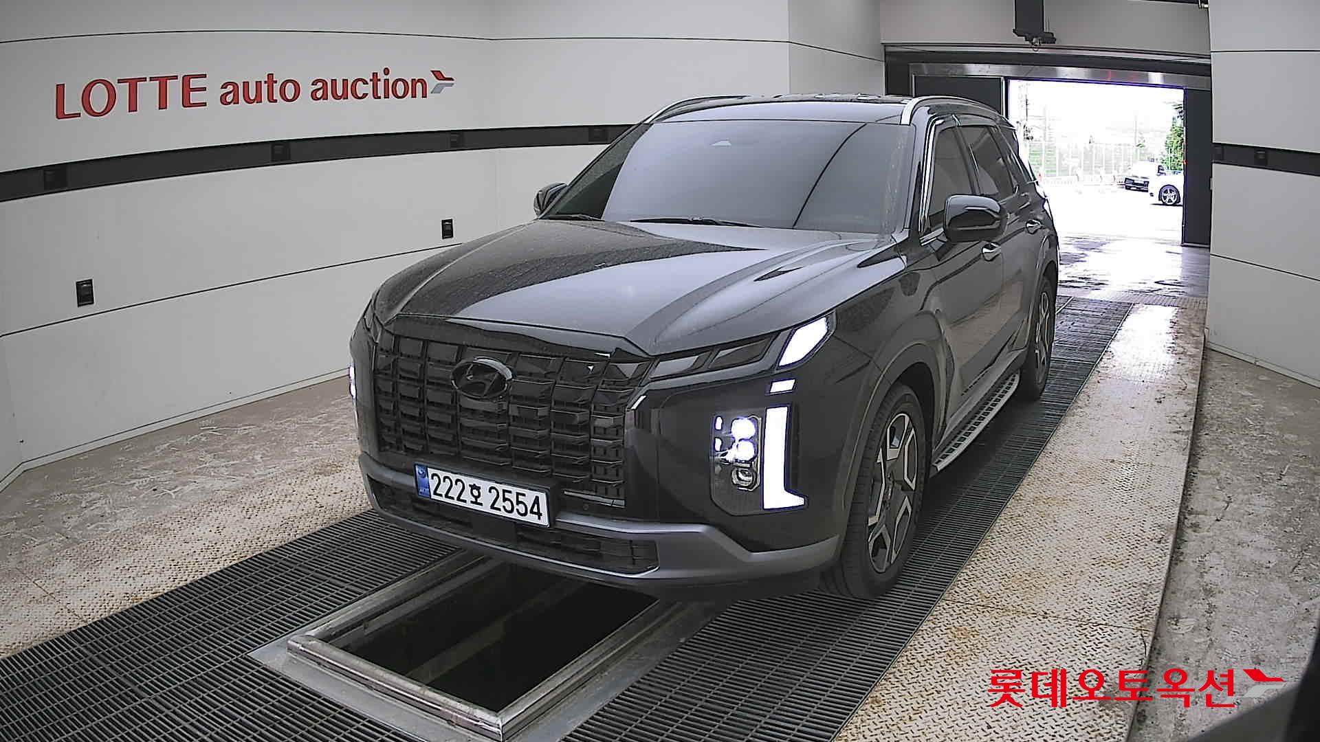 Hyundai Palisade - 10