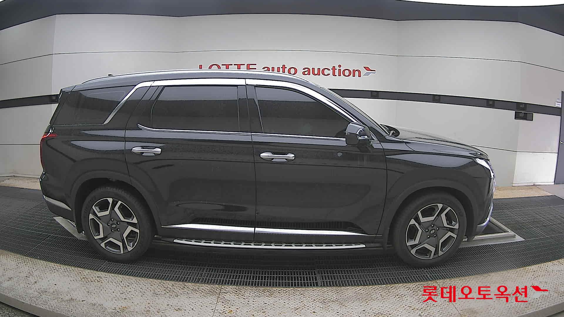 Hyundai Palisade - 21