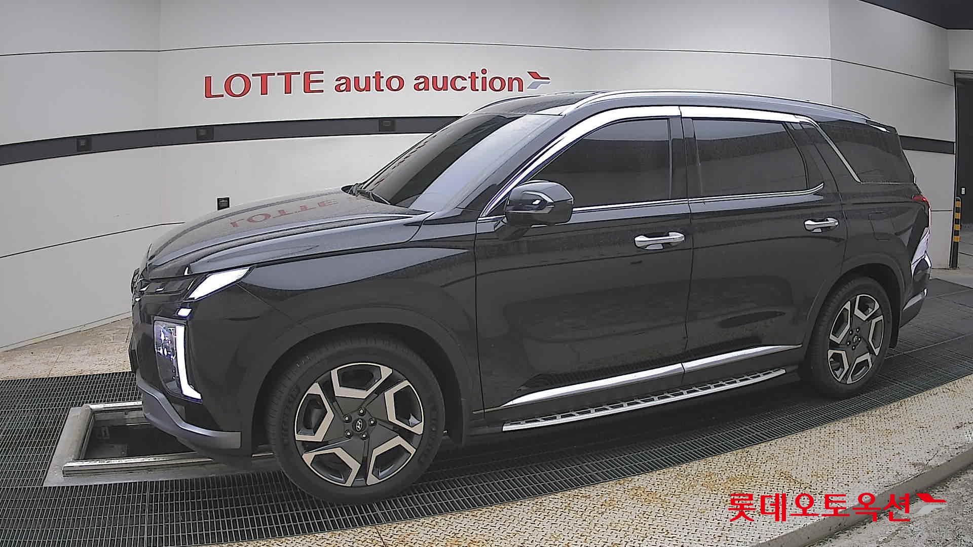 Hyundai Palisade - 12