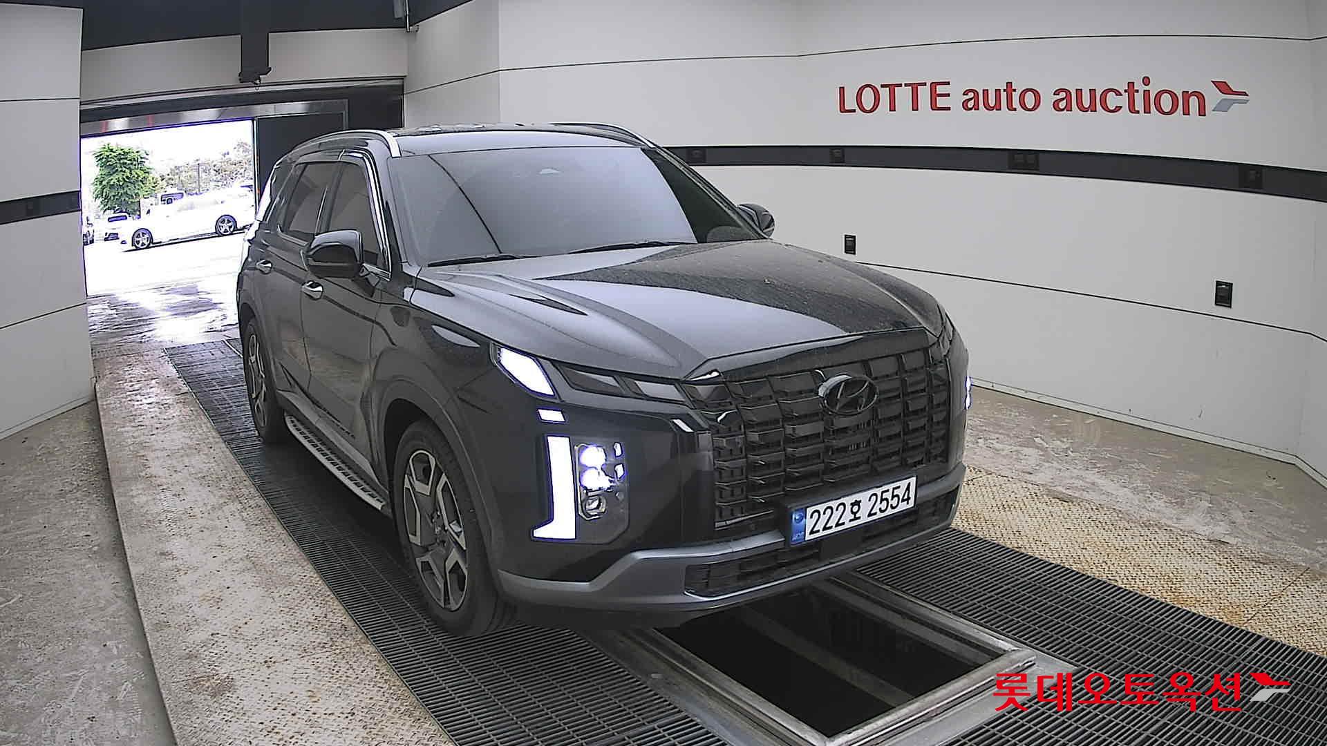 Hyundai Palisade - 24