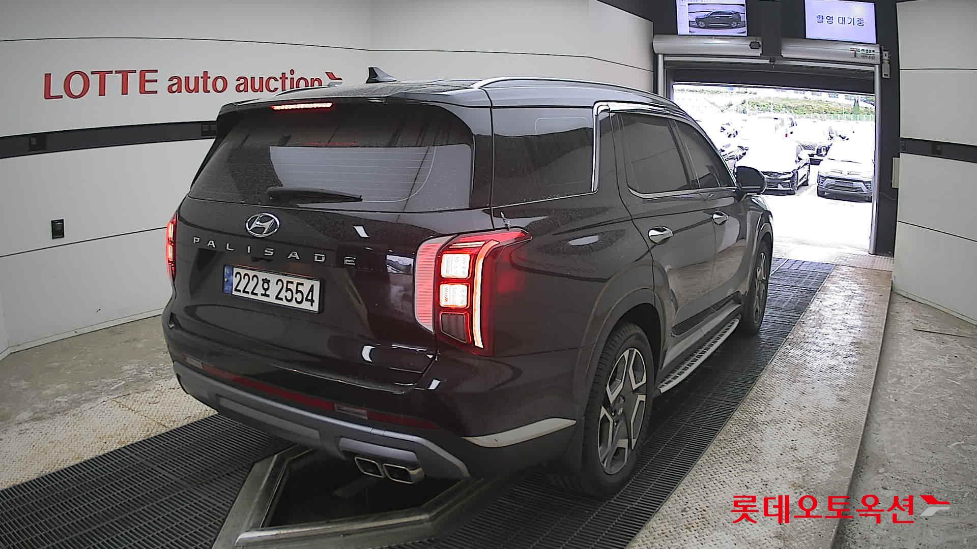 Hyundai Palisade - 18