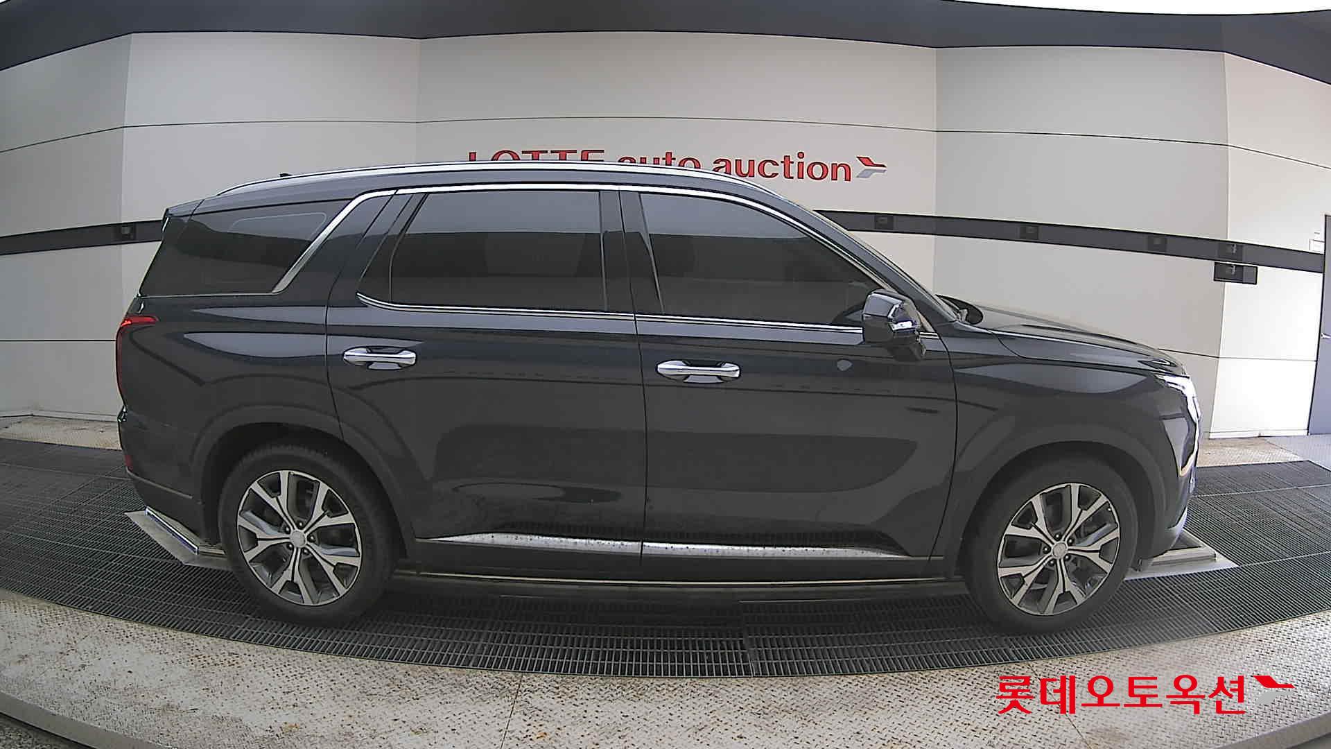 Hyundai Palisade - 21
