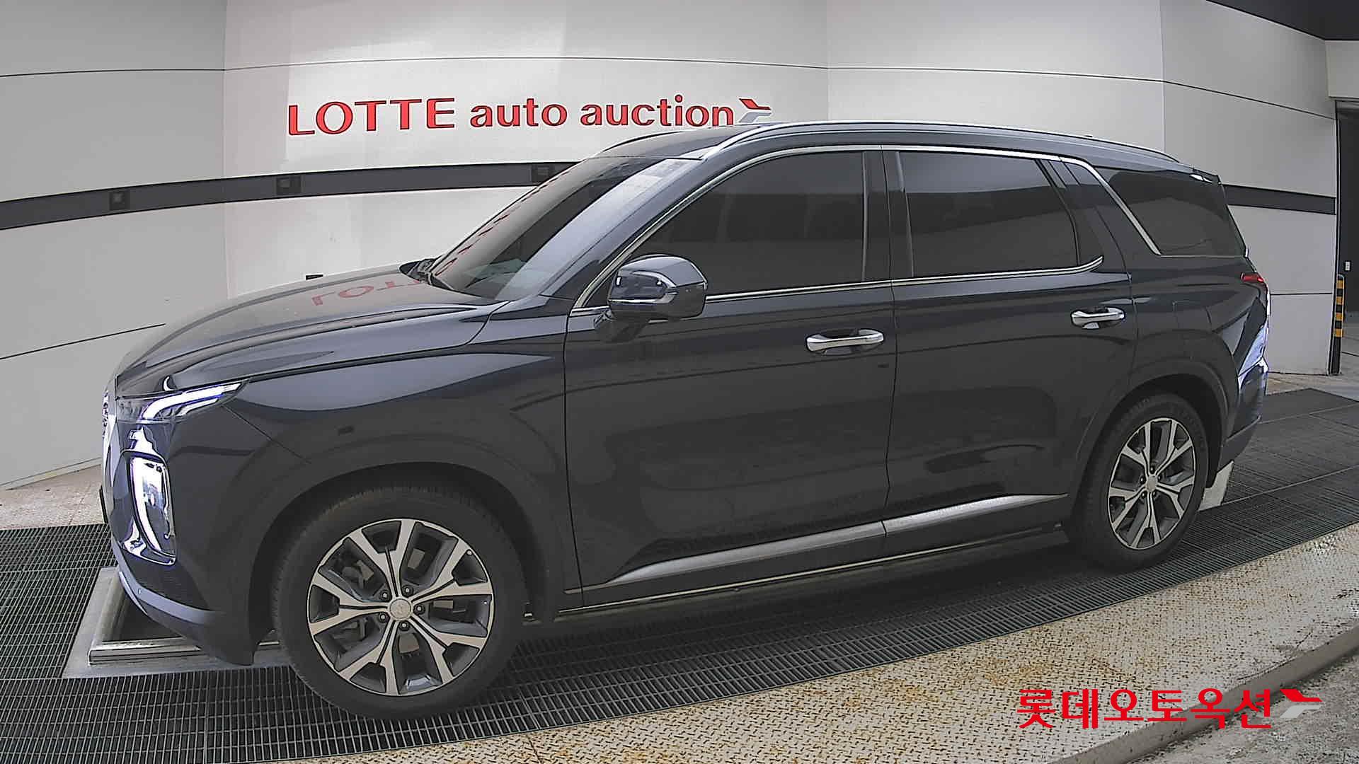 Hyundai Palisade - 12