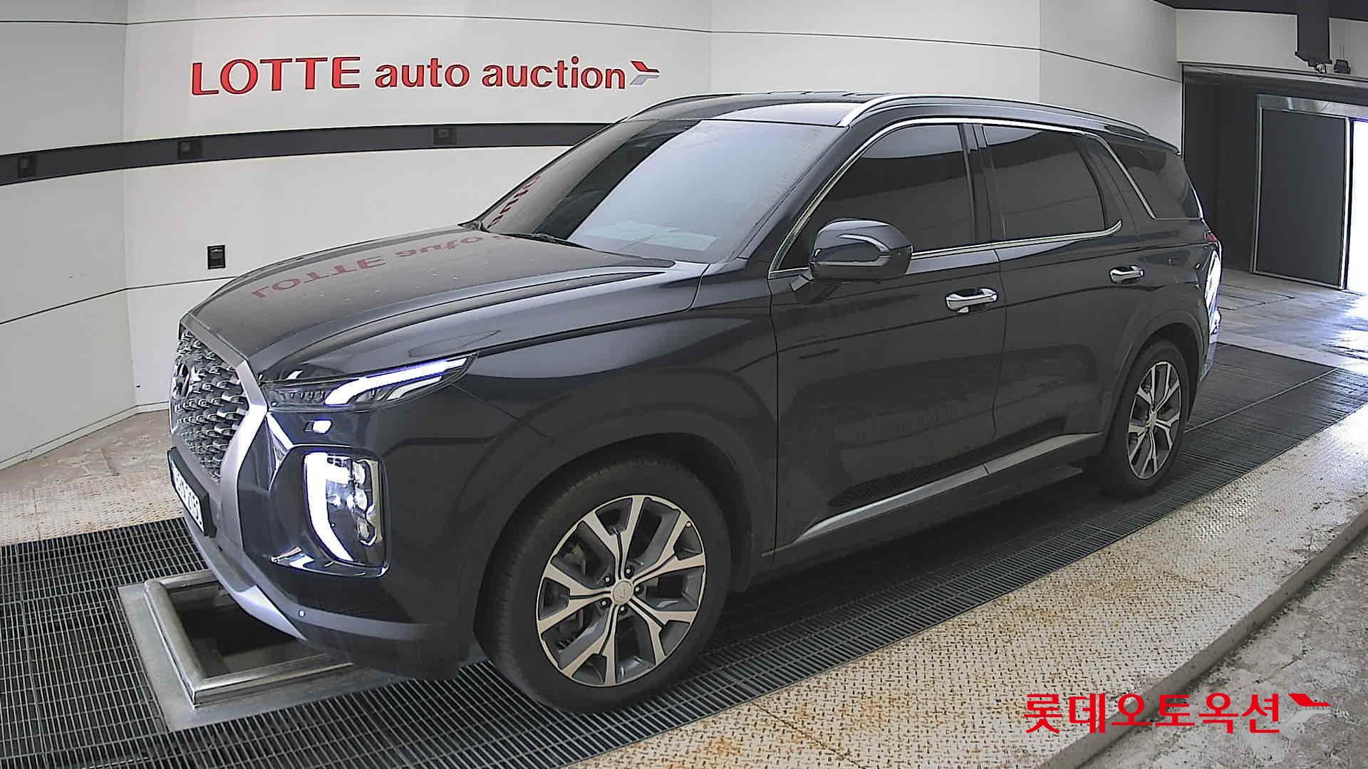 Hyundai Palisade - 11