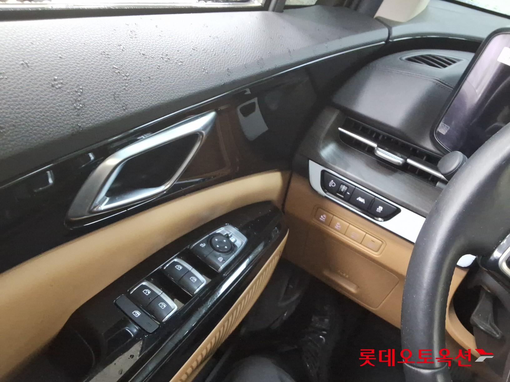 Kia Carnival - 29