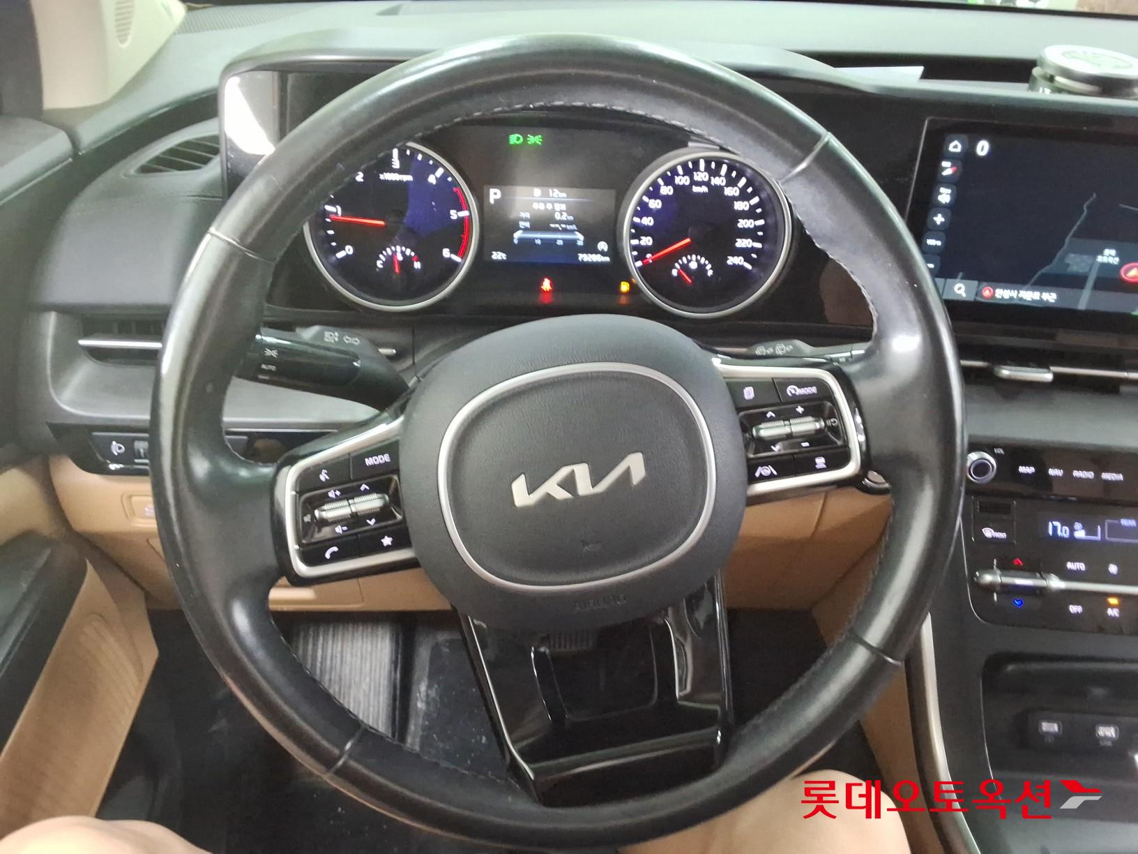 Kia Carnival - 30