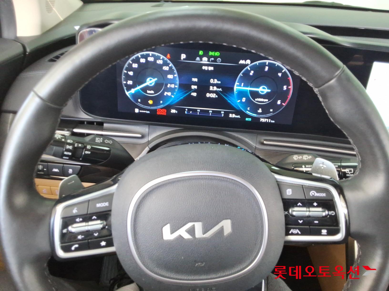 Kia Carnival - 30