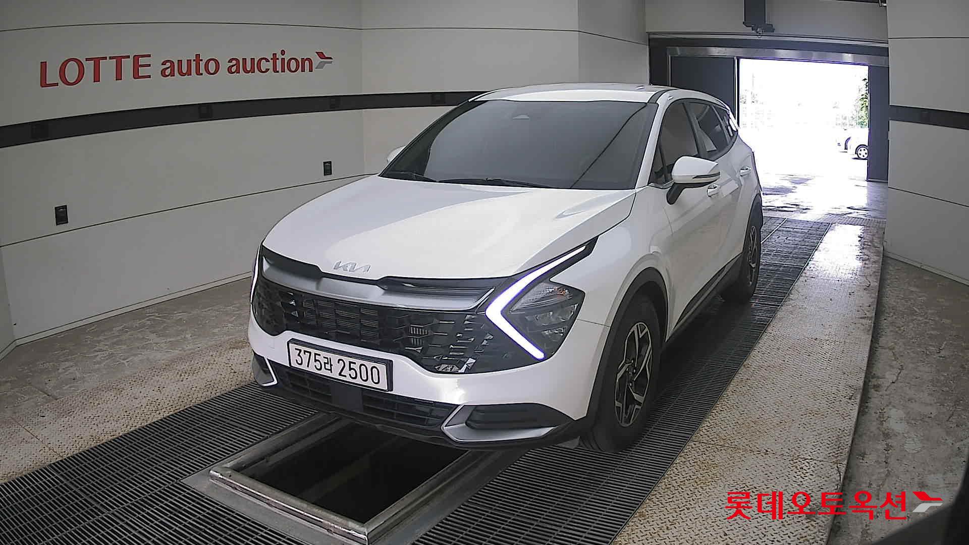 2024 - kia sportage