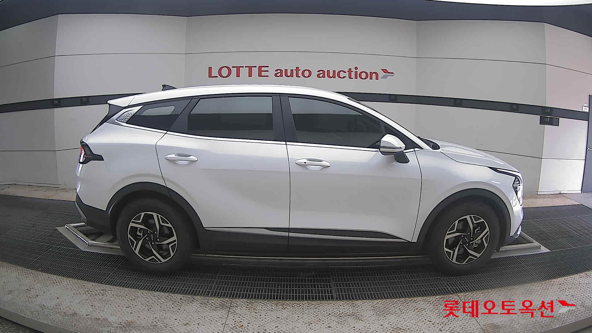 2024 - kia sportage