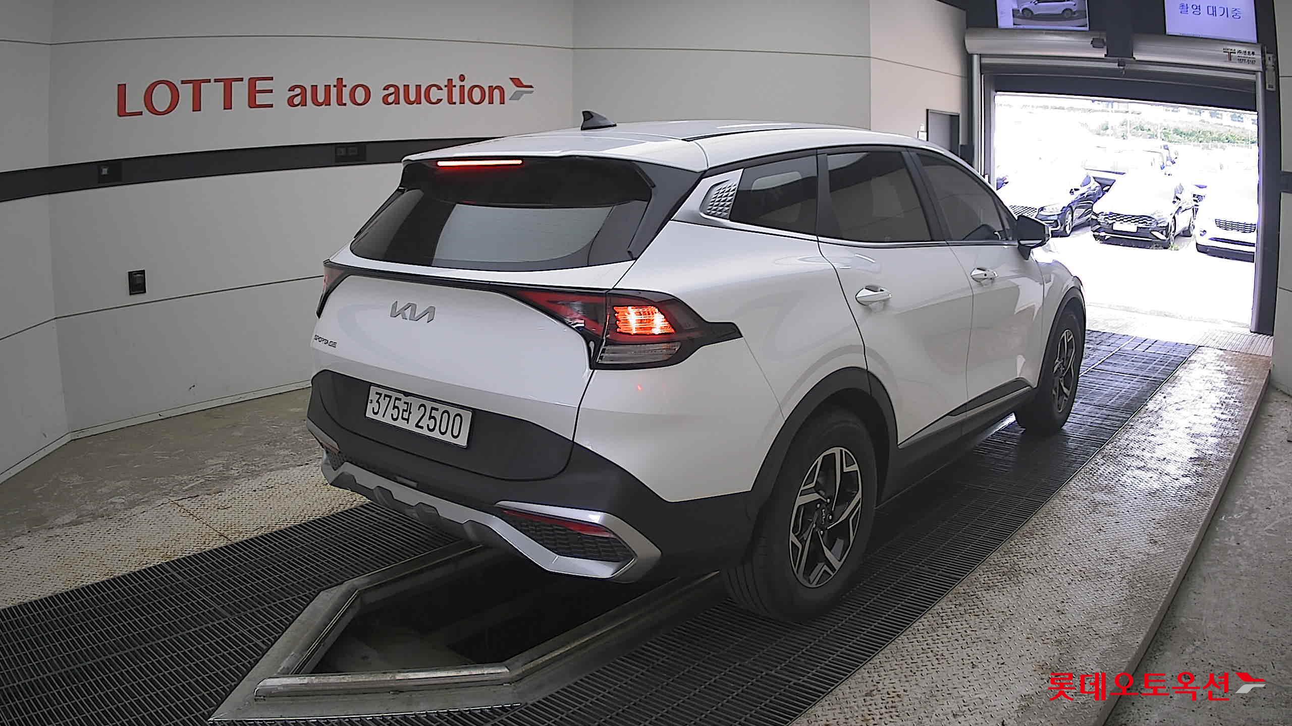 2024 - kia sportage