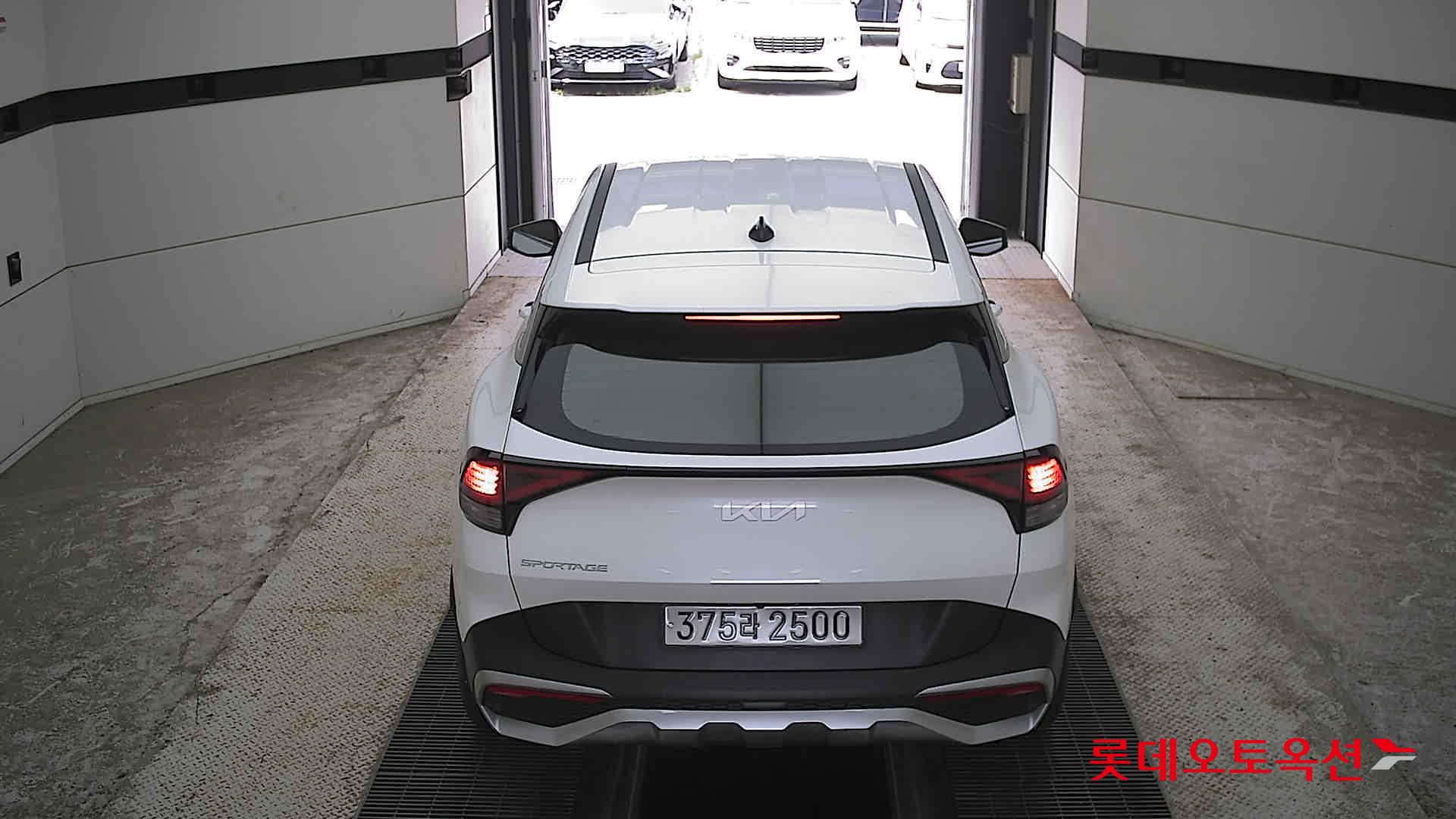 2024 - kia sportage