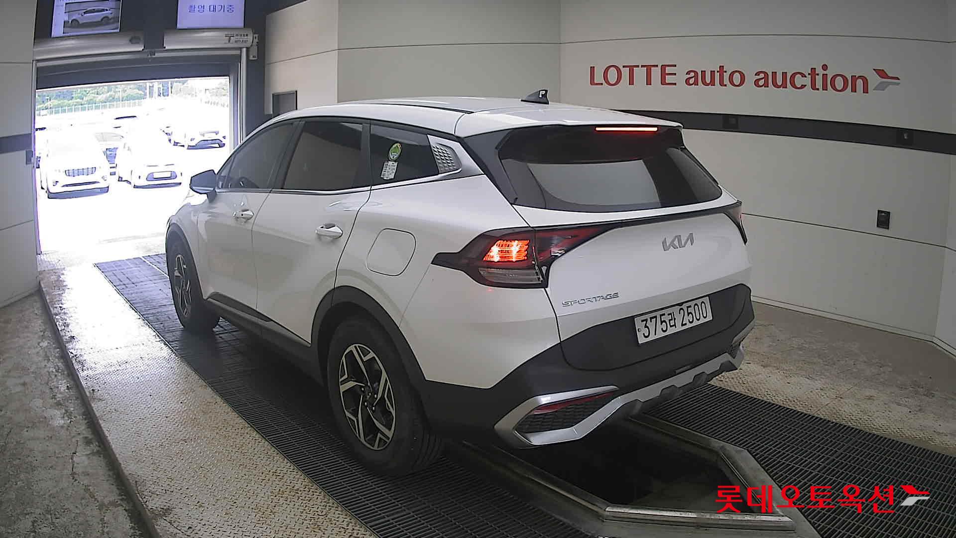 2024 - kia sportage