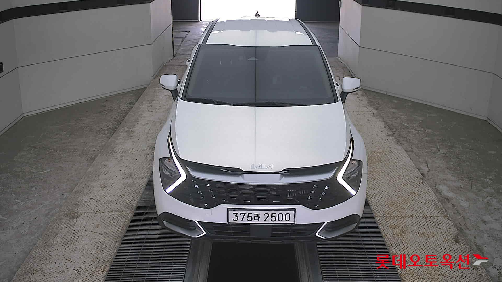 SPORTAGE NQ5 (D)