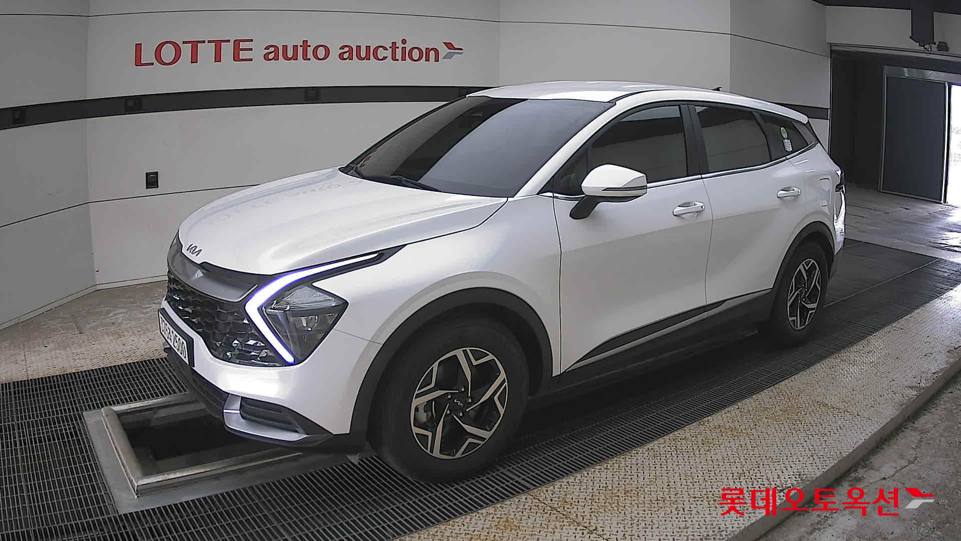 2024 - kia sportage