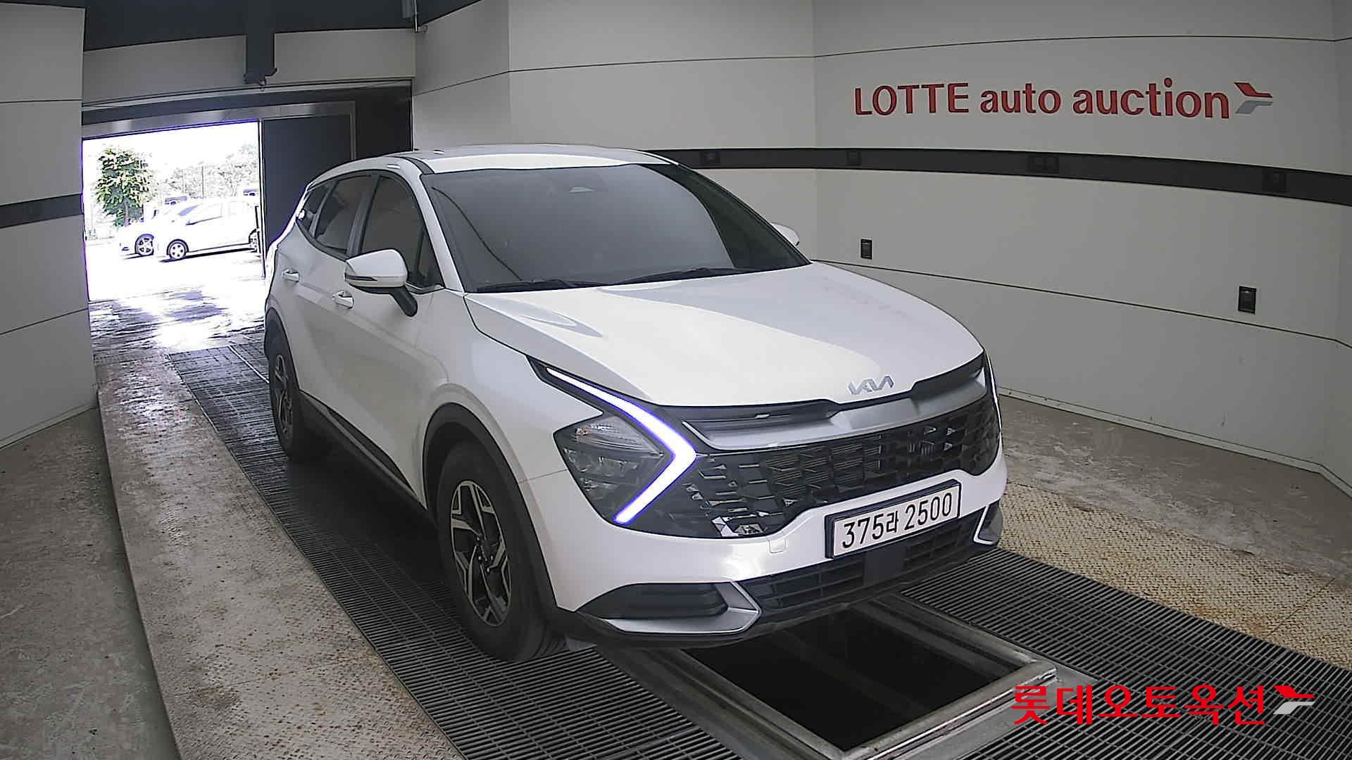 2024 - kia sportage