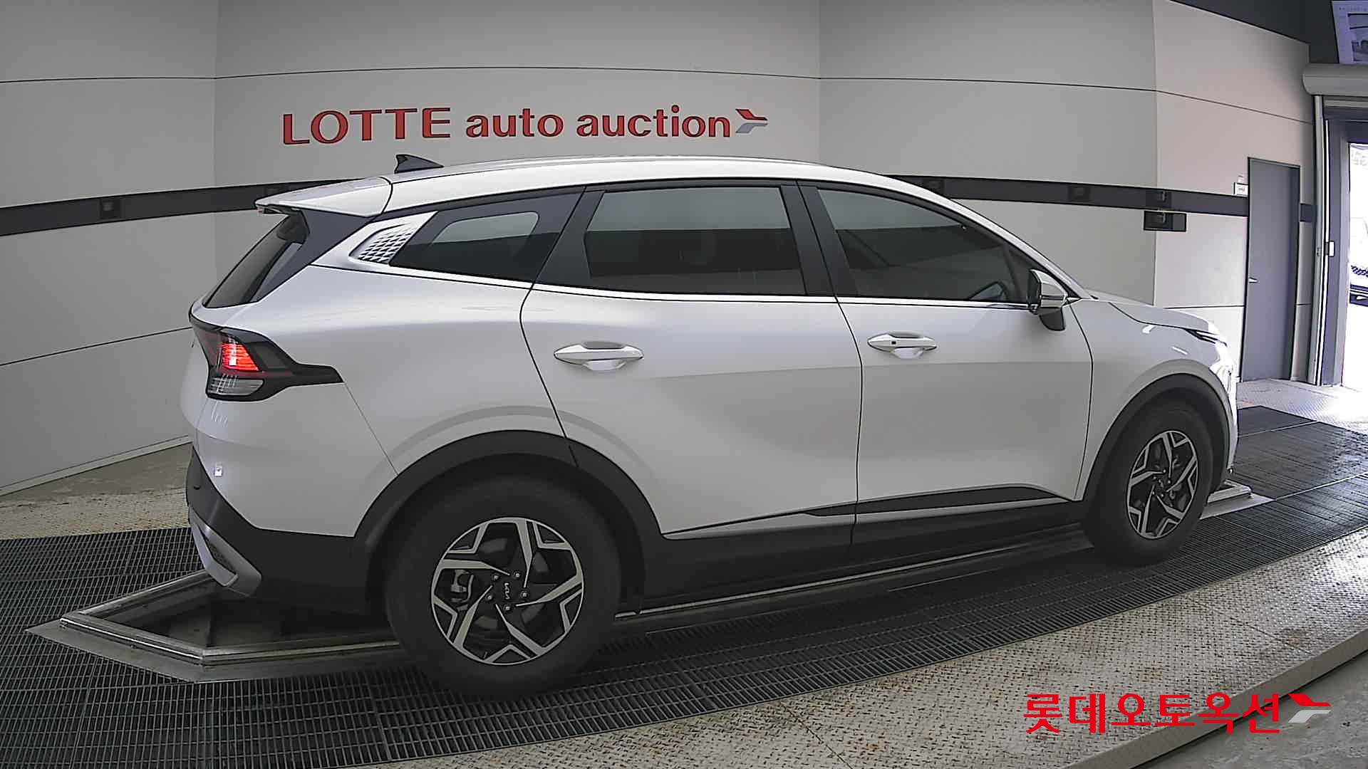 2024 - kia sportage