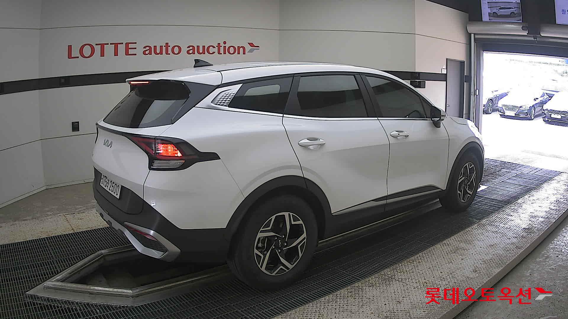 2024 - kia sportage
