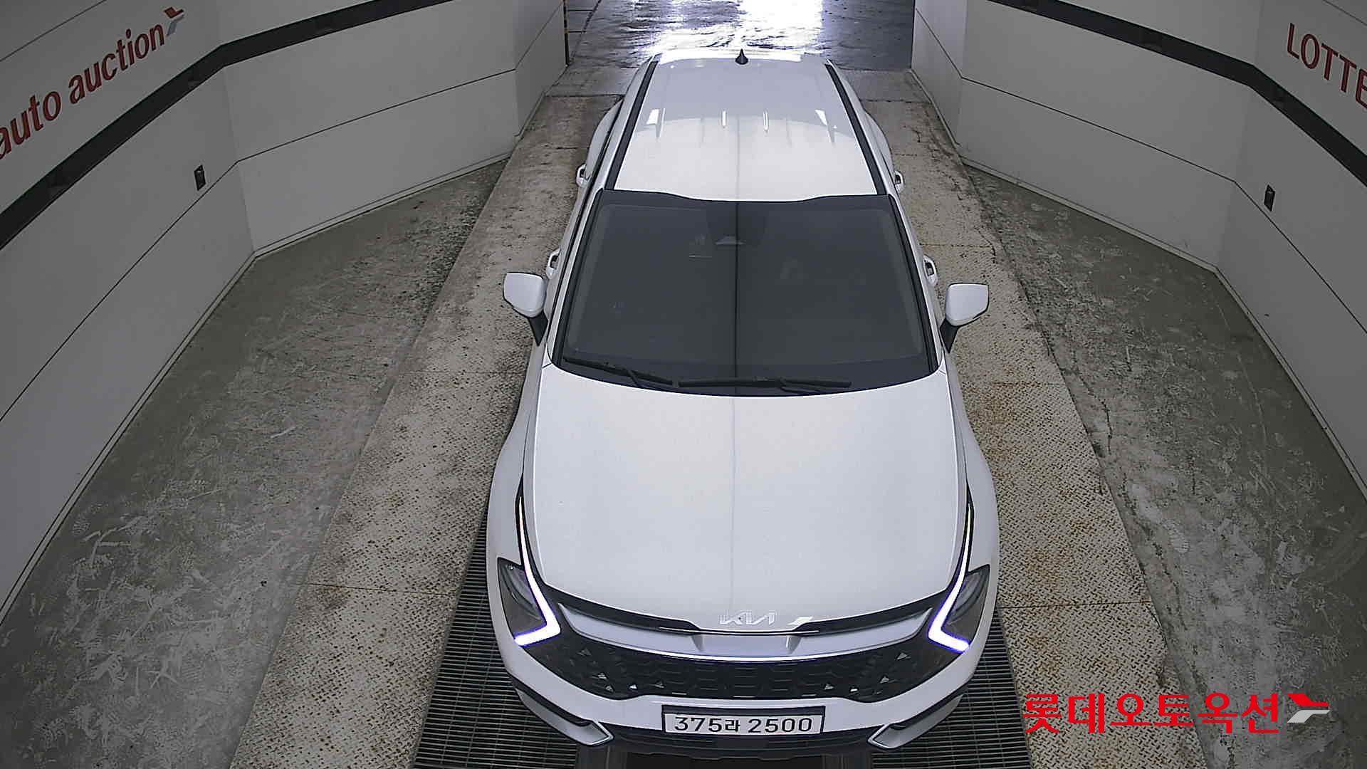 2024 - kia sportage