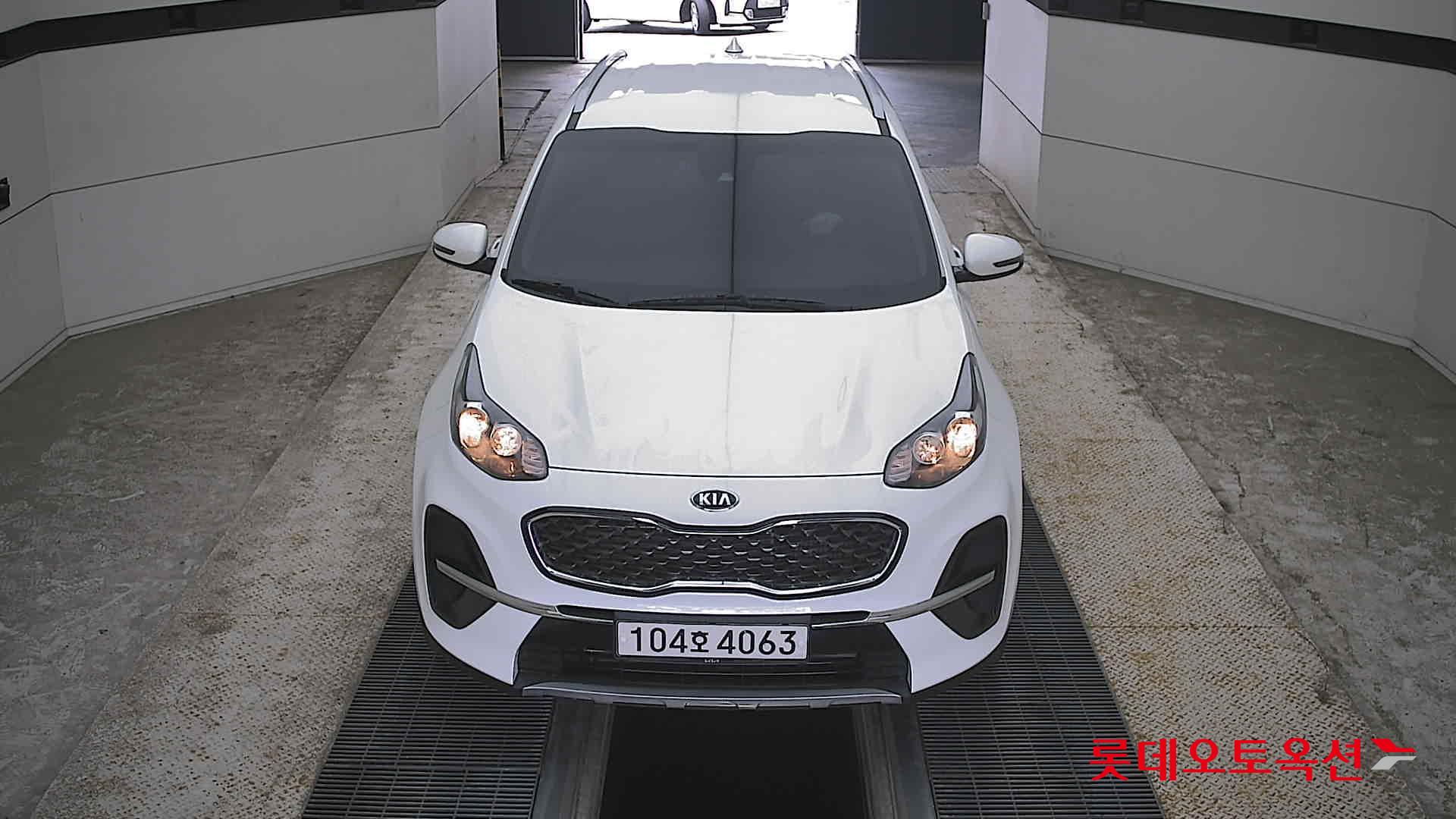 BOLD SPORTAGE (D)
