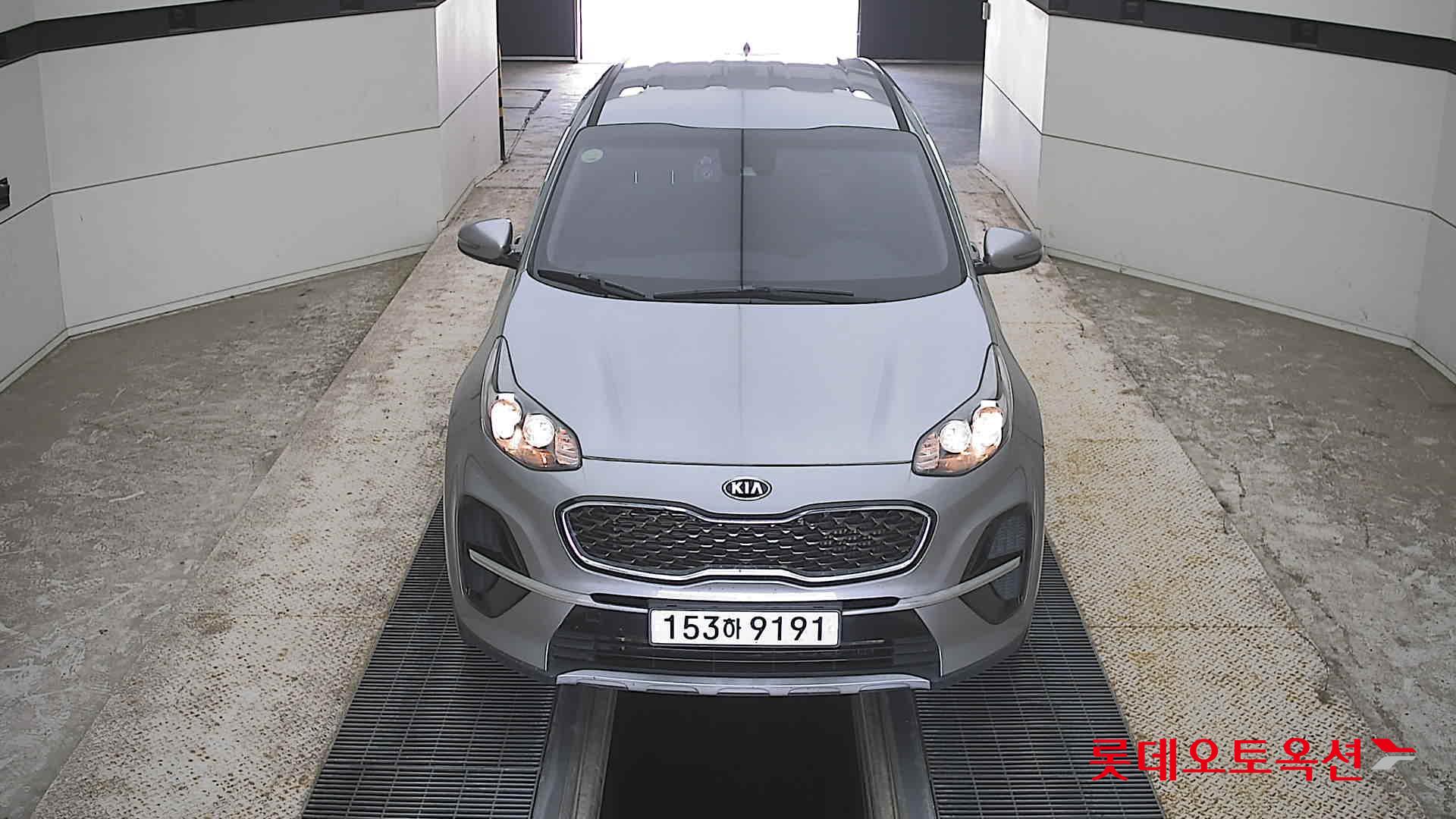 BOLD SPORTAGE (D)