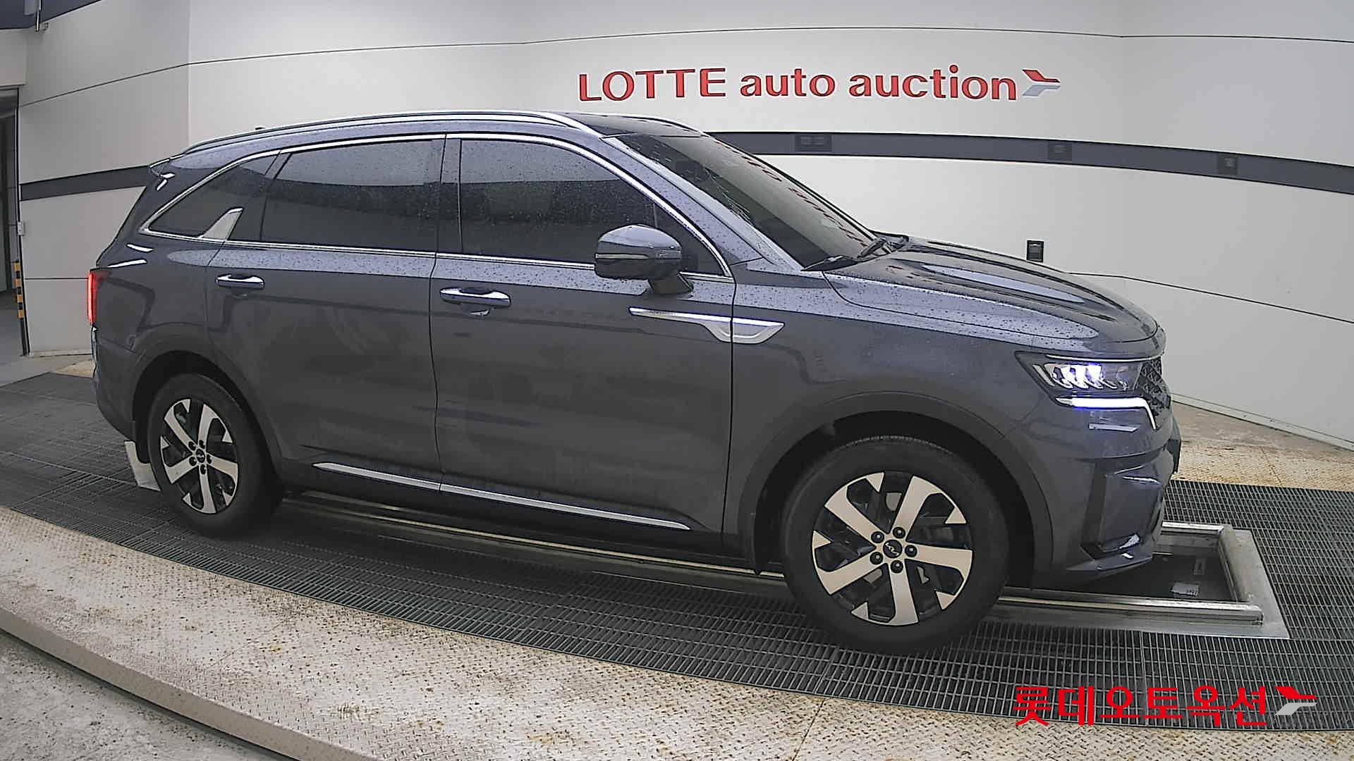 2023 - kia sorento