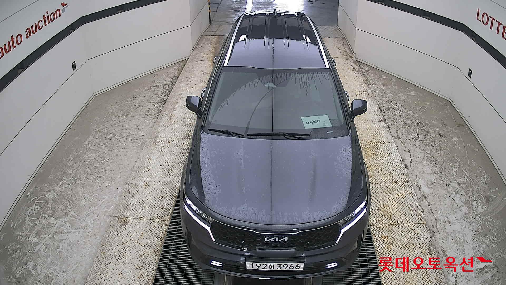 2023 - kia sorento